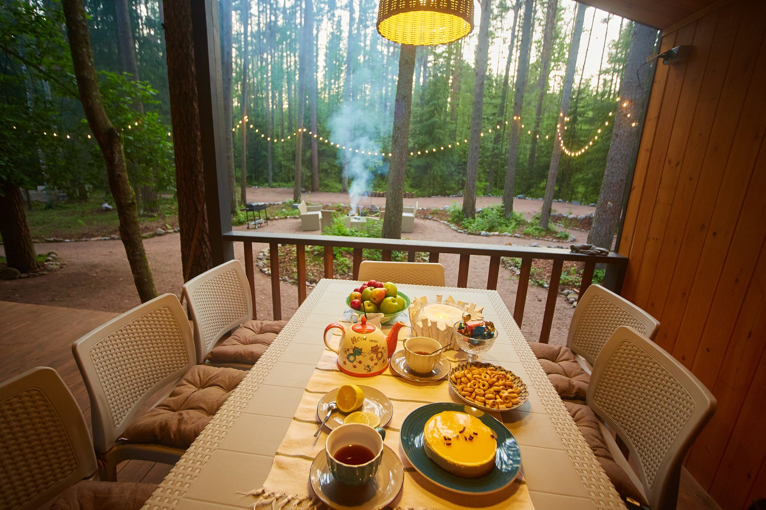 Фото Репинские дачи