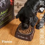 Fitmin Kazakhstan (Abay Avenue, 115А), artículos para animales al por mayor