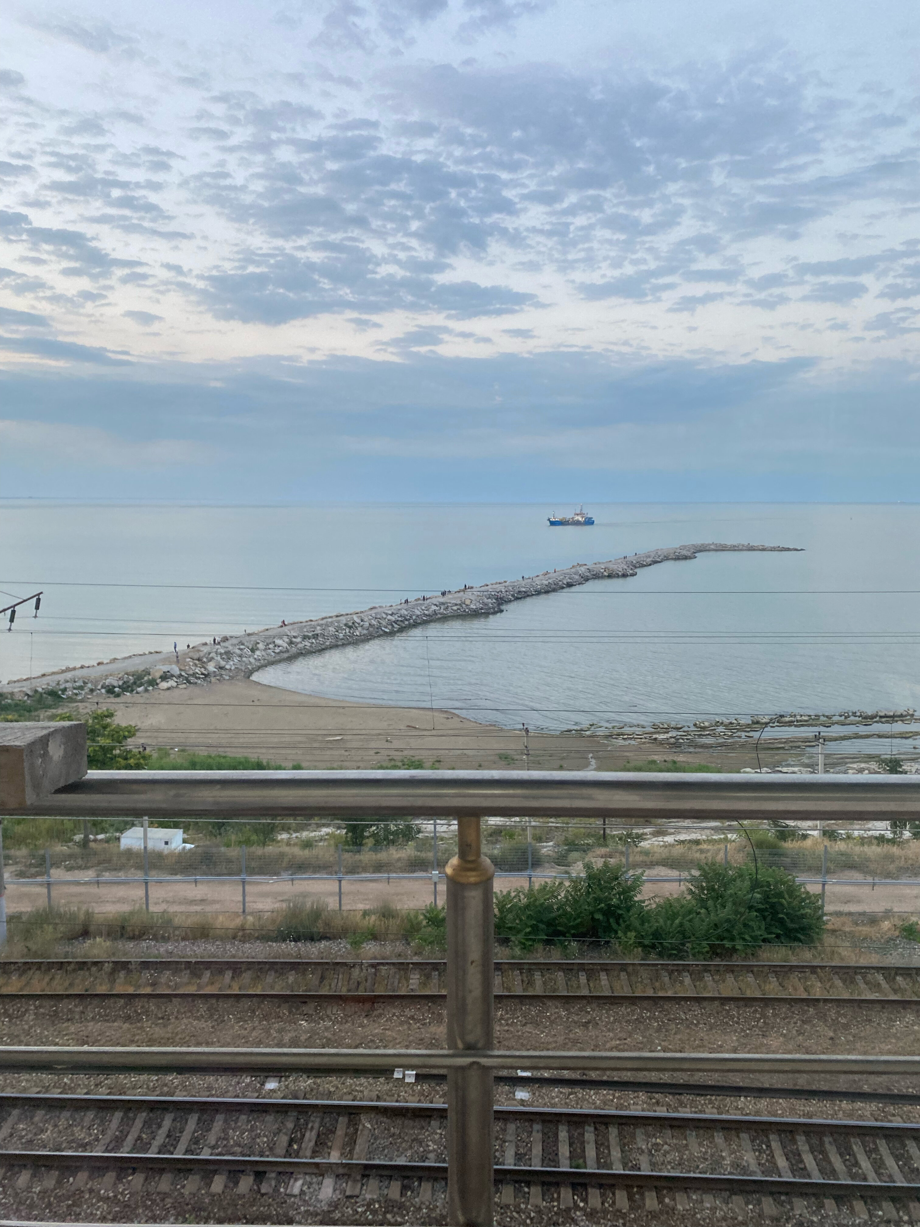 Фото Берёзка