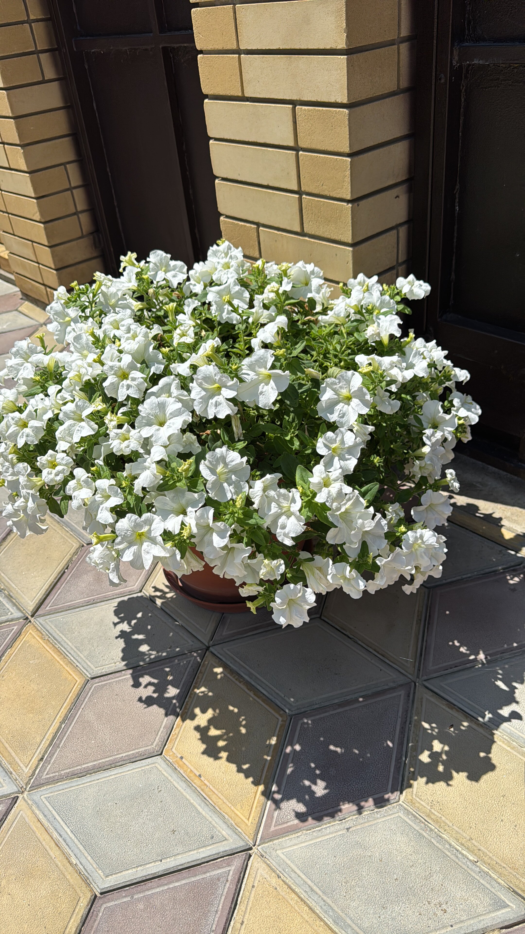 Фото Маленькая Гагра