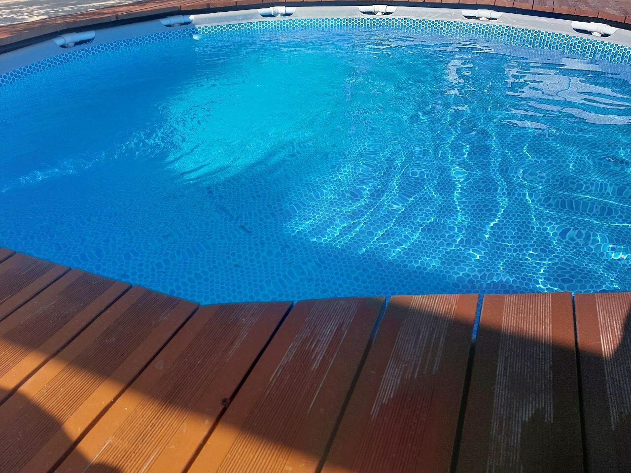 Фото Фундук