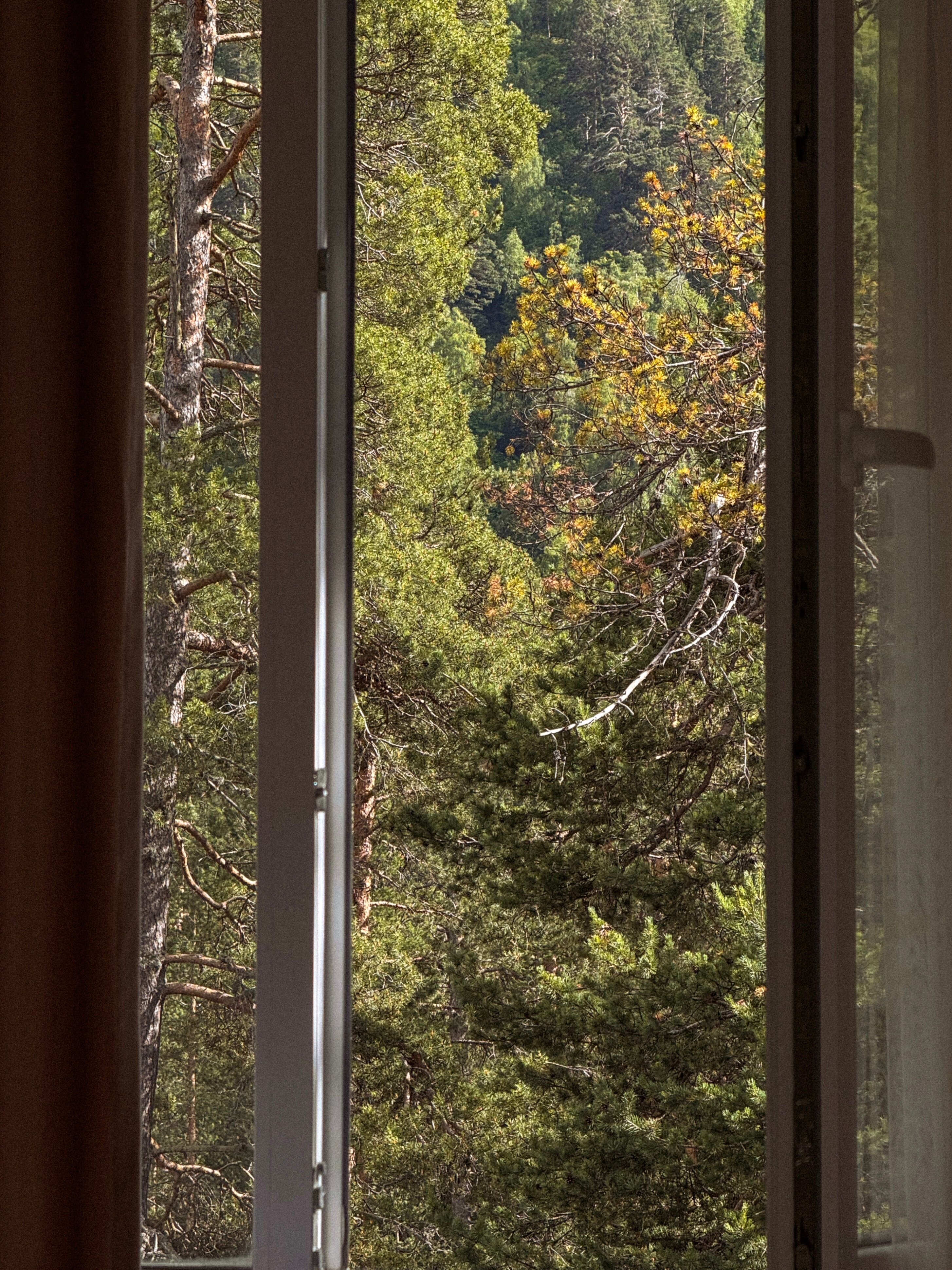 Фото Гостевой дом 2050