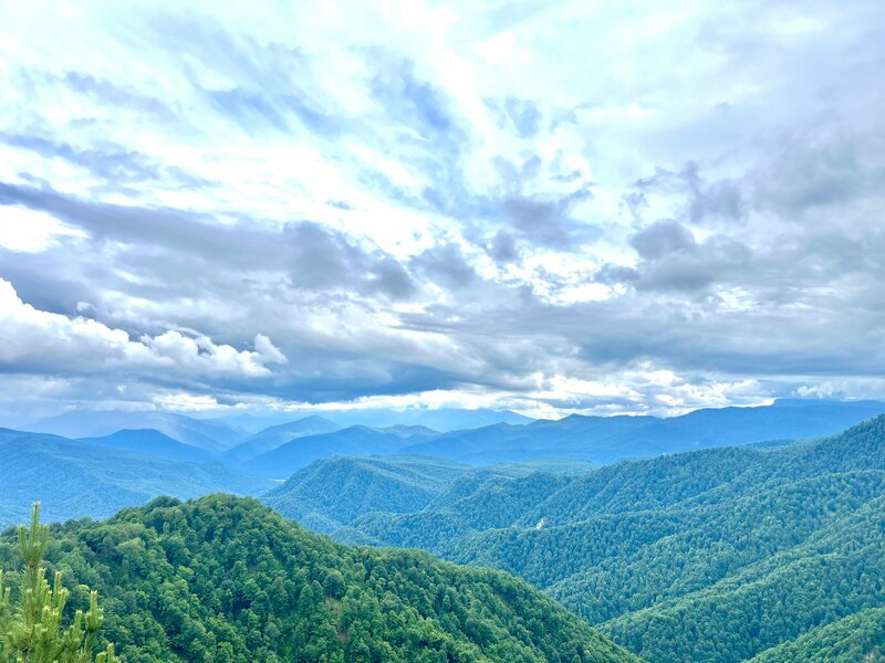 Ольга Ларионова