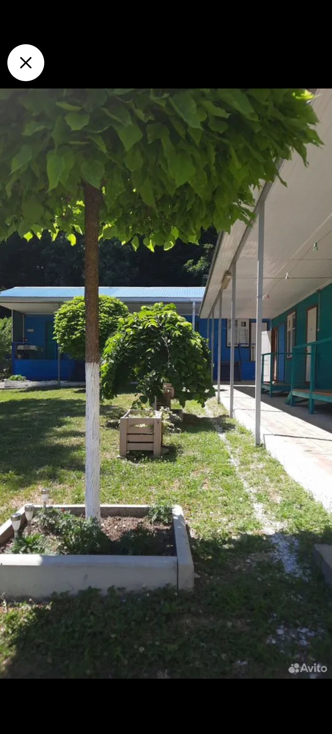 Фото Полянка