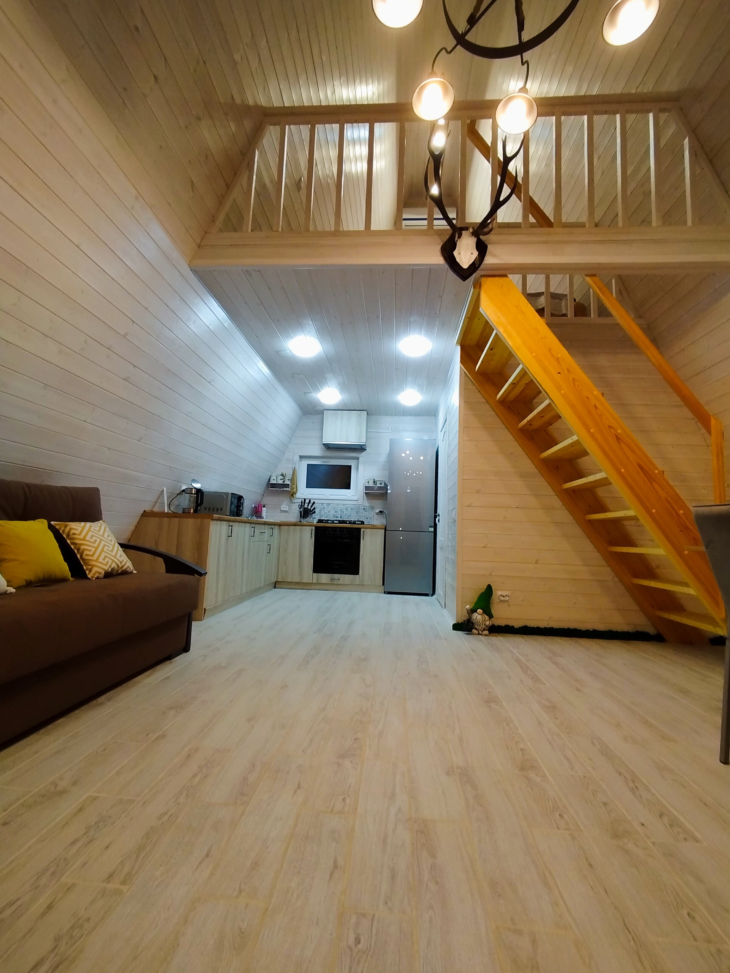 Фото Ёлки-Иголки