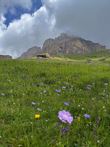 Милена Вельба фотодағы кір жуатын бөлмеде