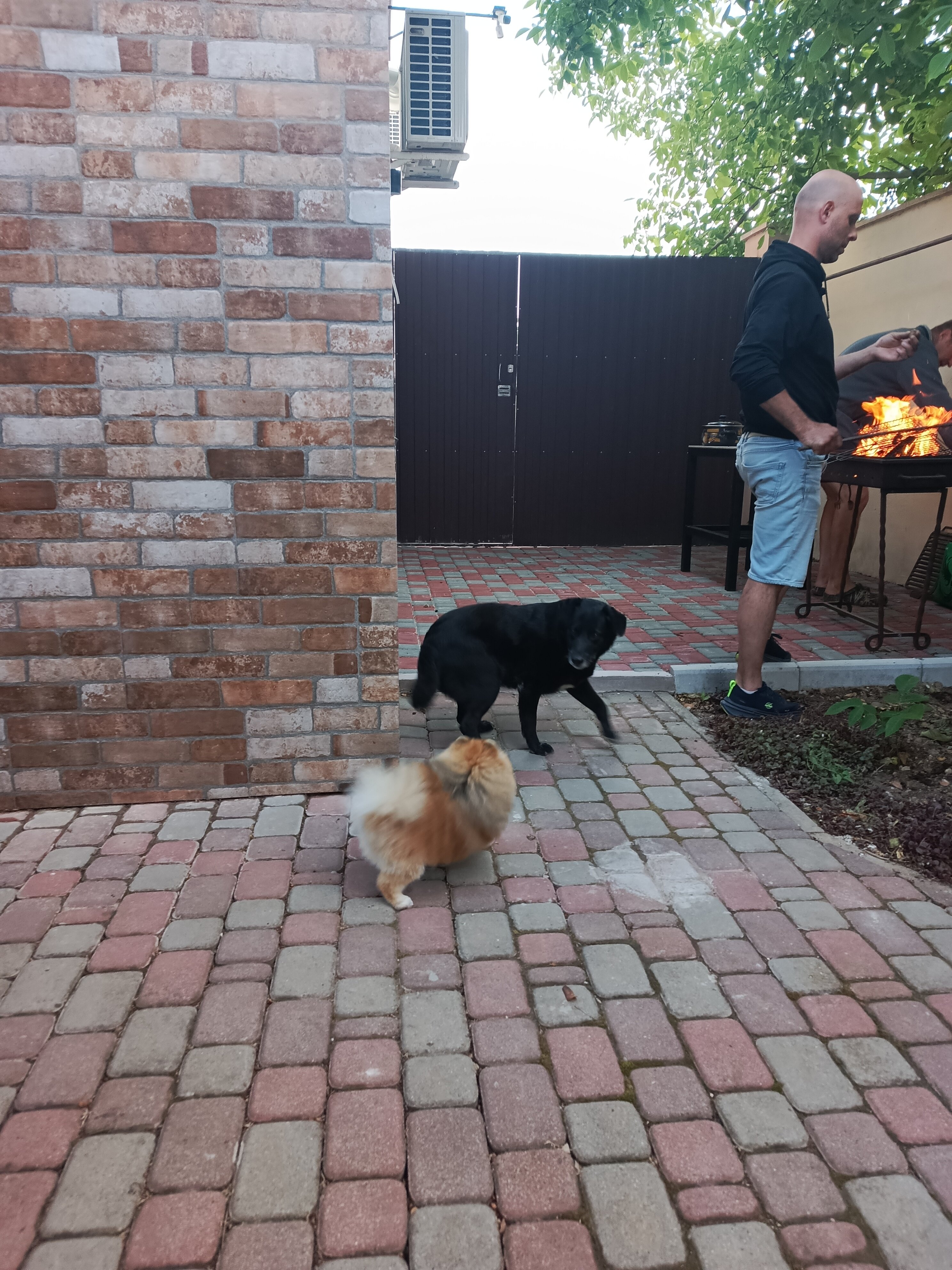 Фото Гелиос