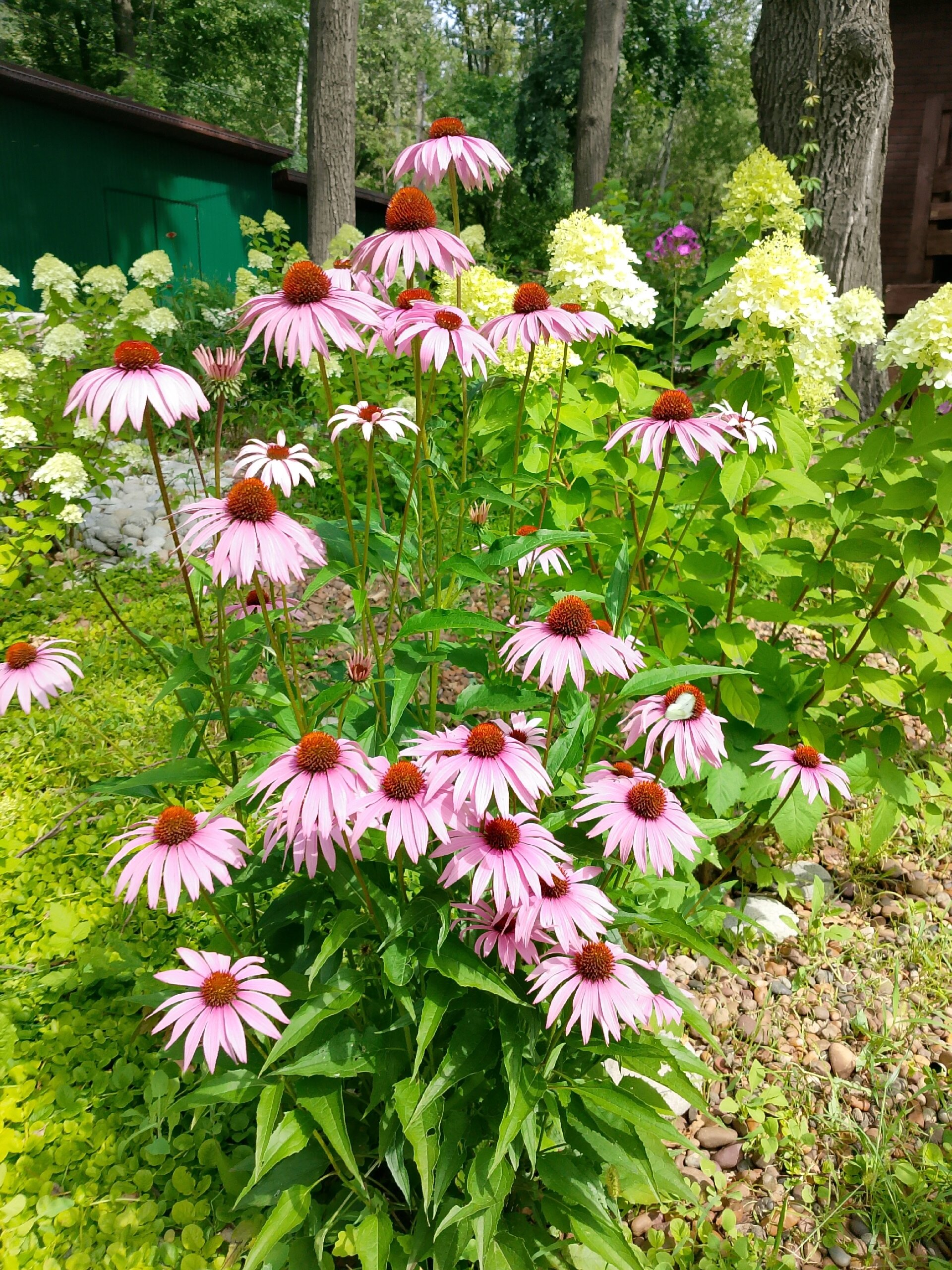 Фото Рассвет