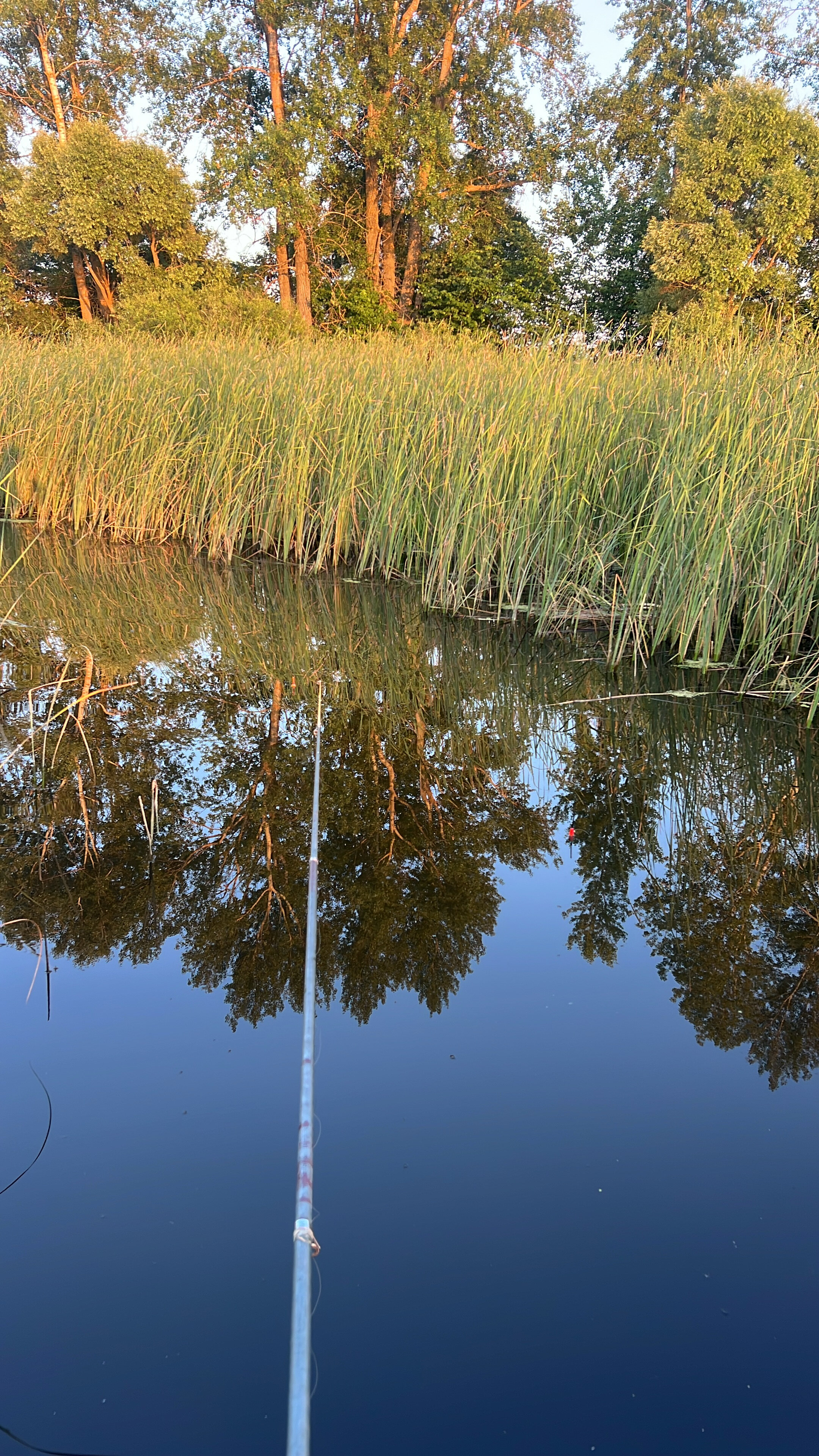 Фото Фишфарм116