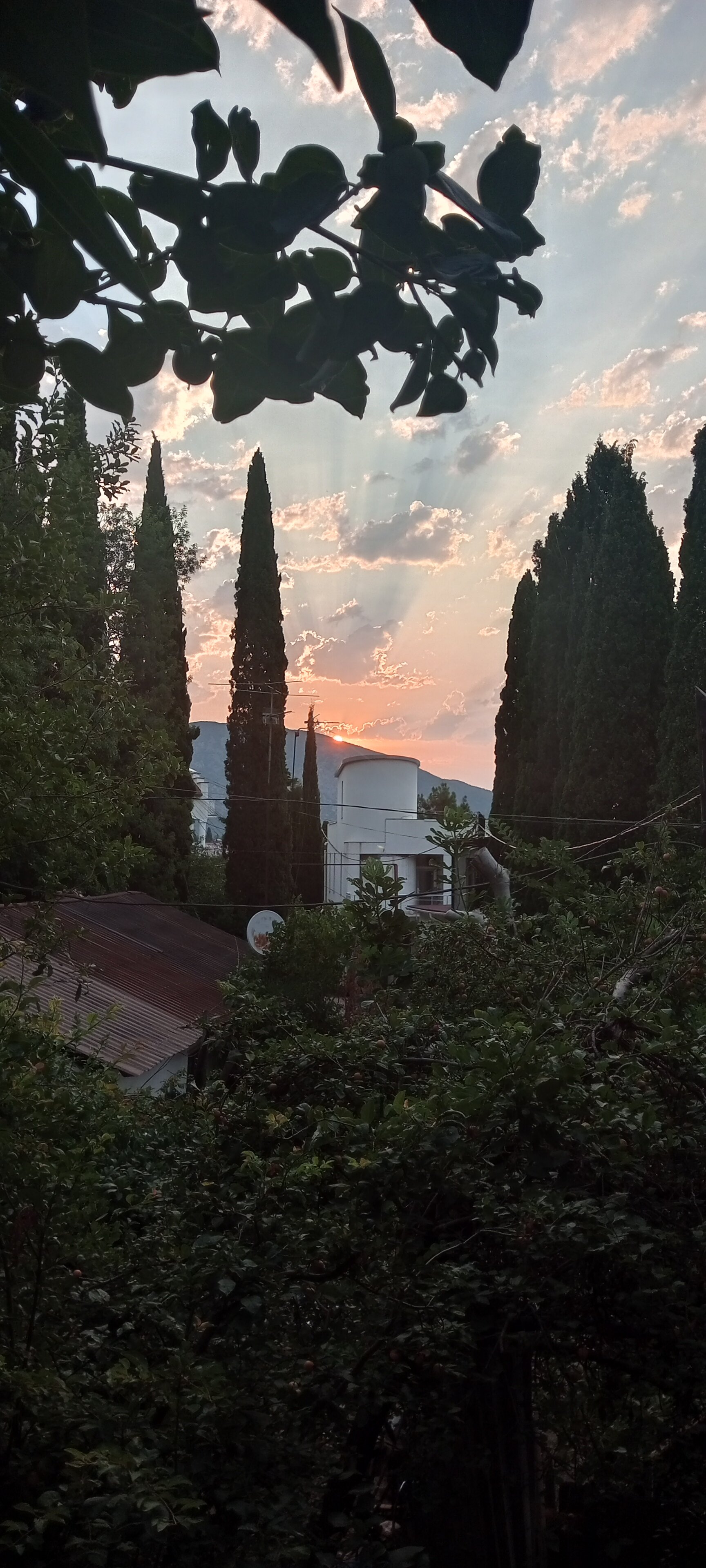 Фото Усадьба Инжир