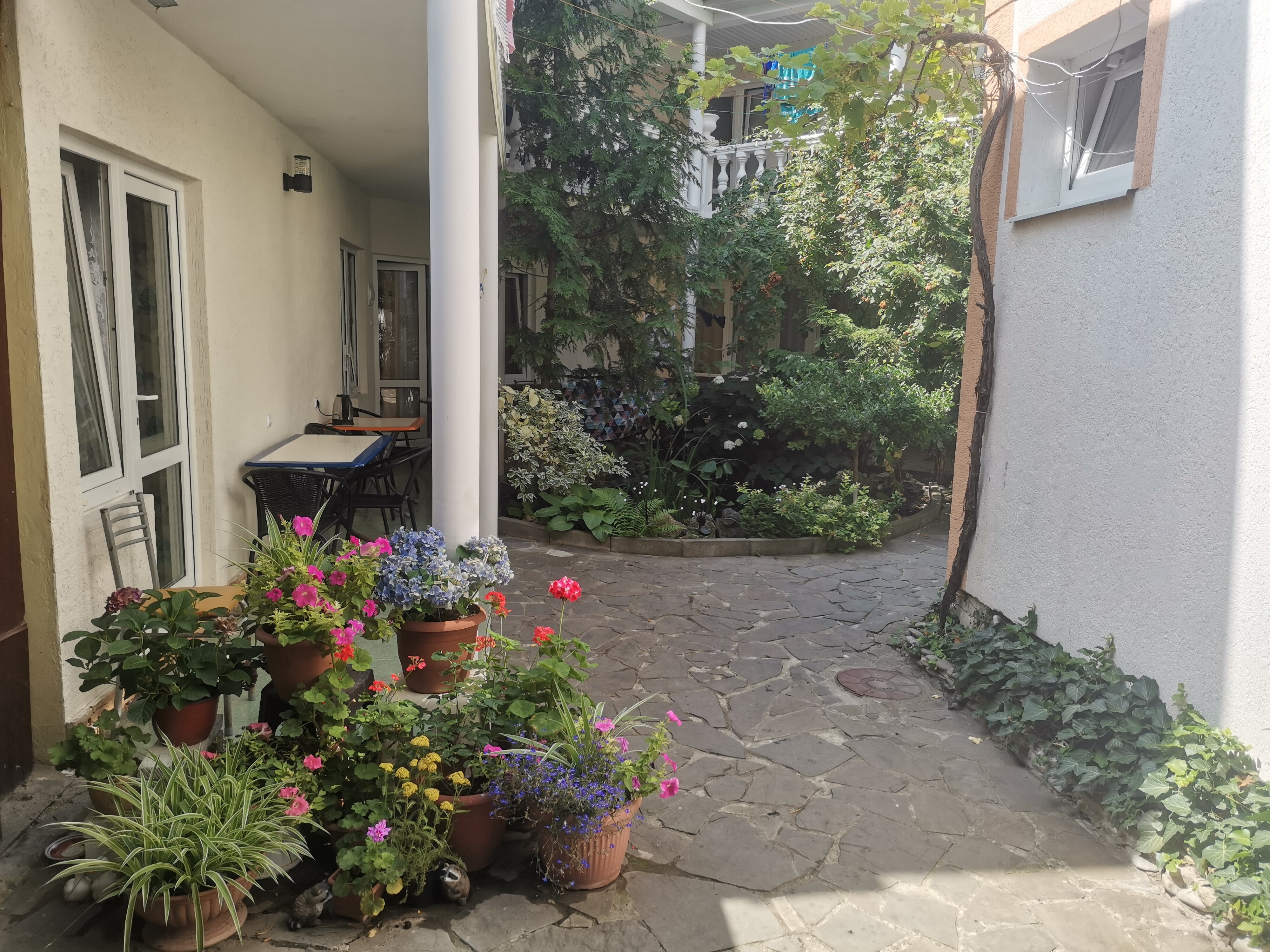 Фото У Александра