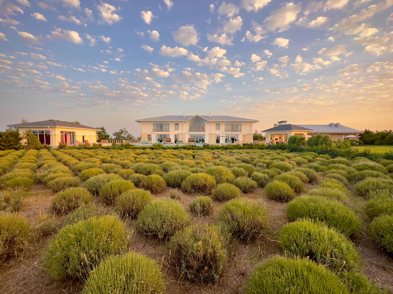 Фото Villa Romanov Wine Club & SPA