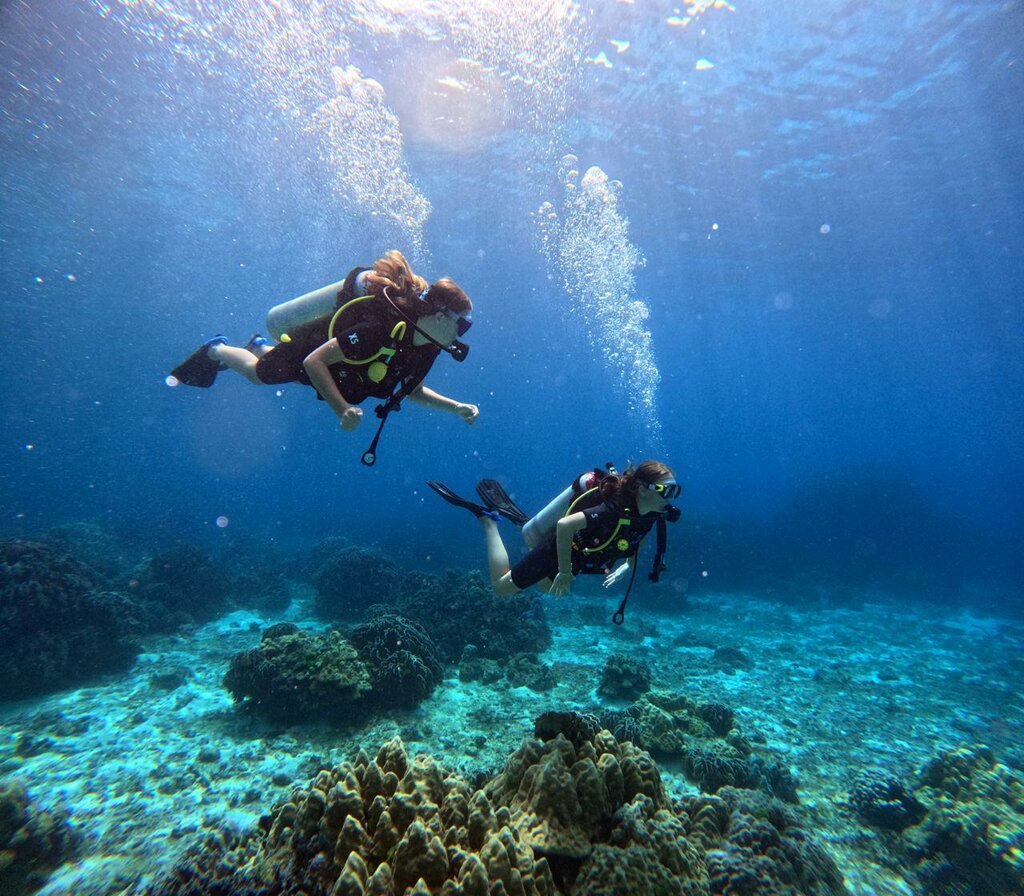 Diving Acdc Diving, Chalong, photo