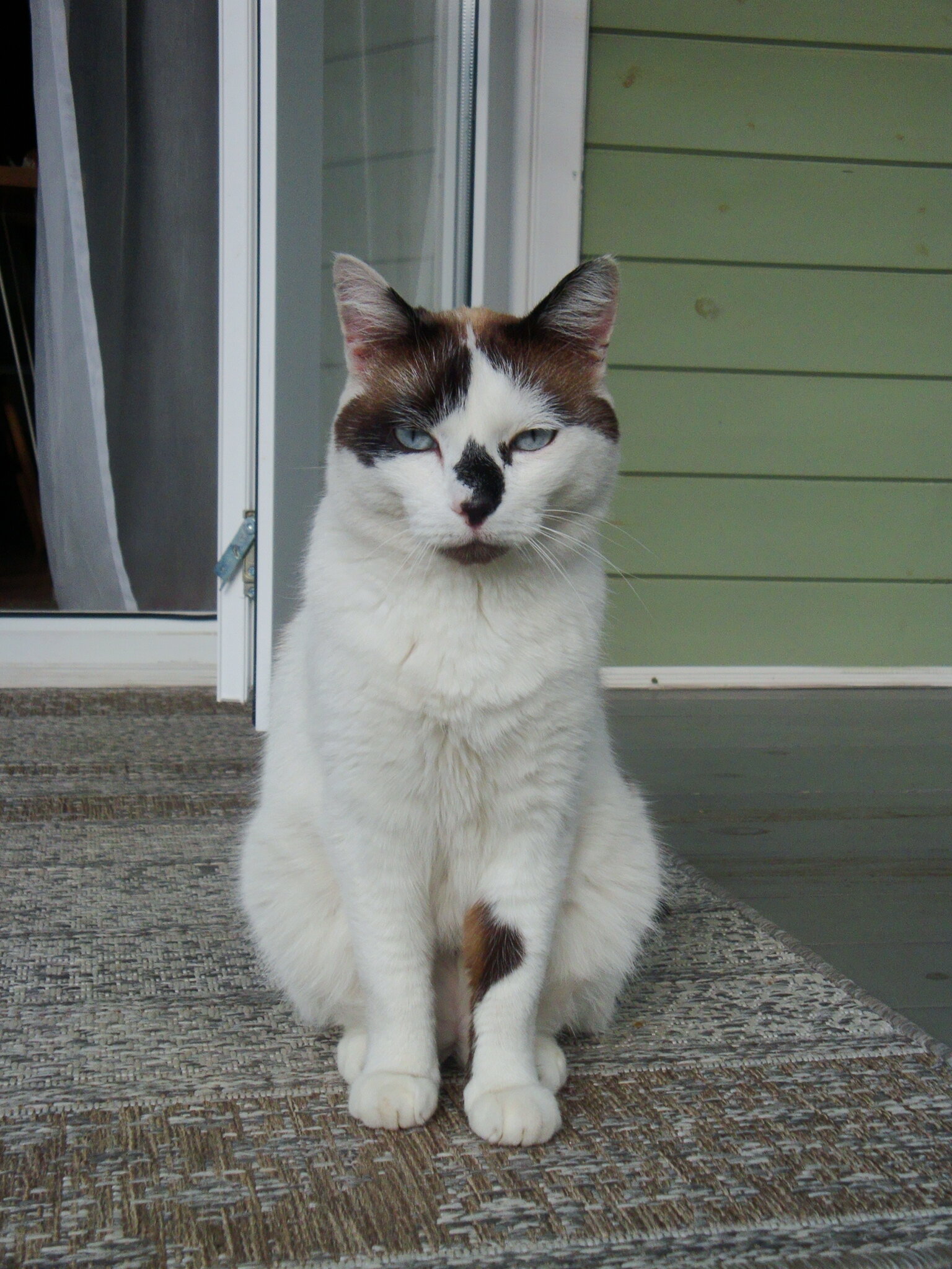 Фото Усадьба Каменевых