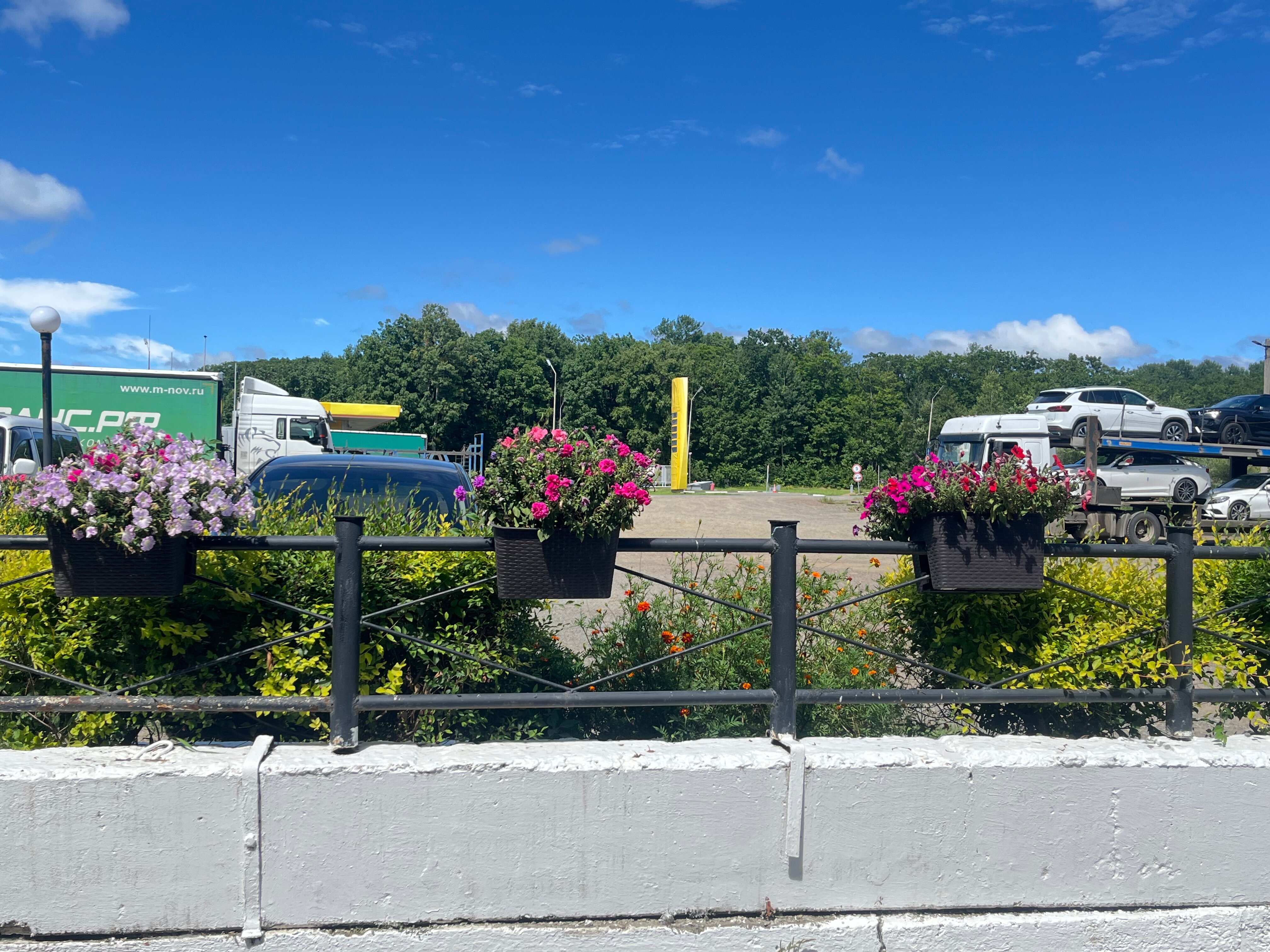 Фото Эльдорадо