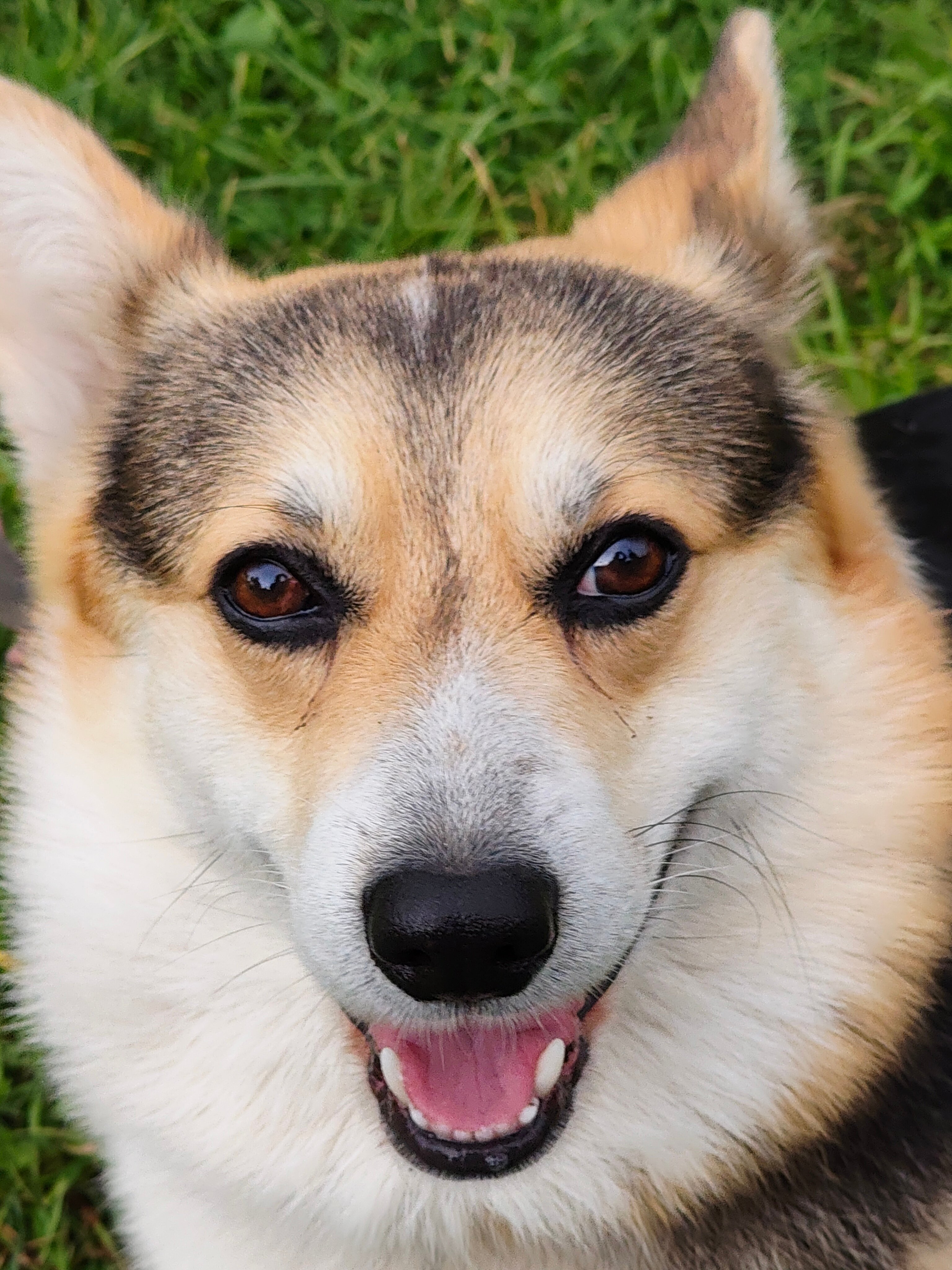 Фото Катунский утёс