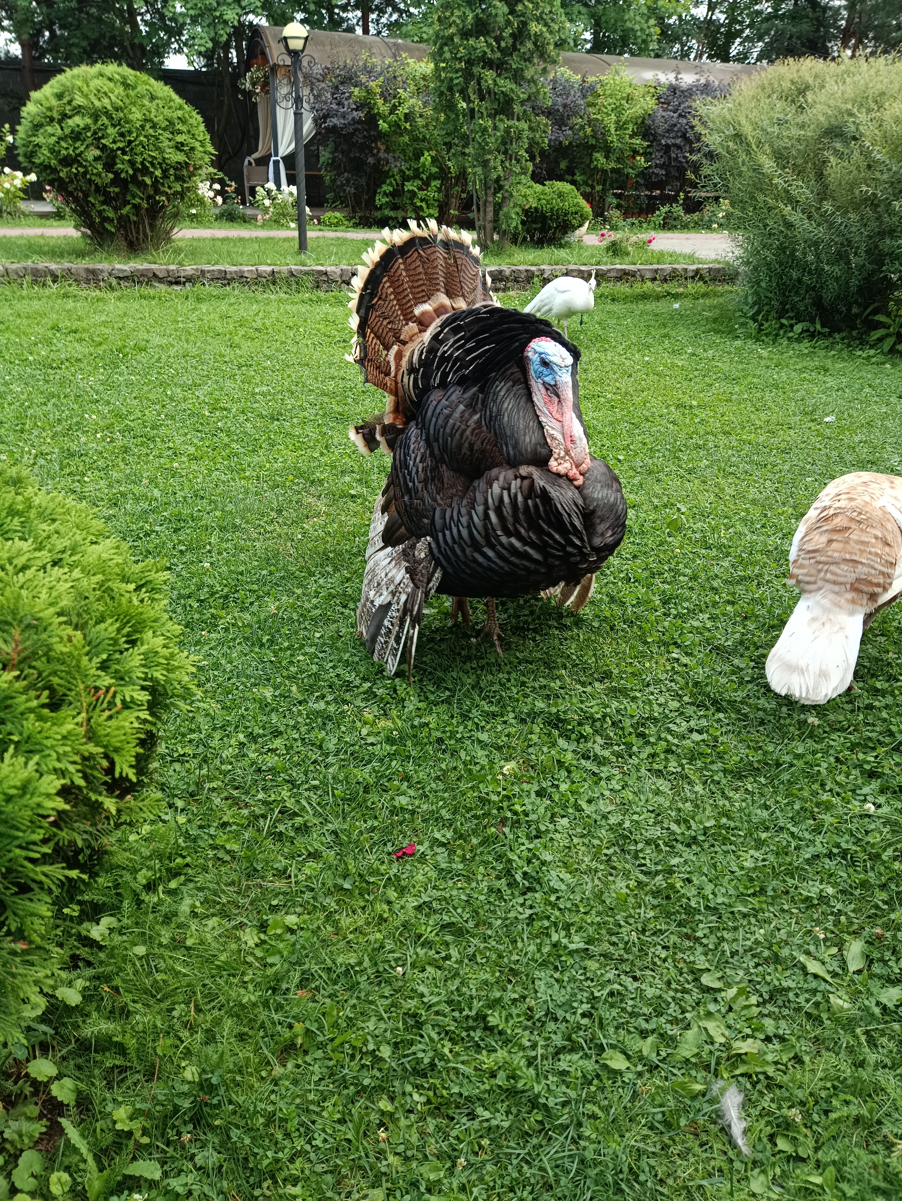 Фото Загородный комплекс Норд Стар