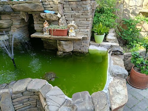 Внешний вид отеля Ключевой 9 в Сочах, фото 5