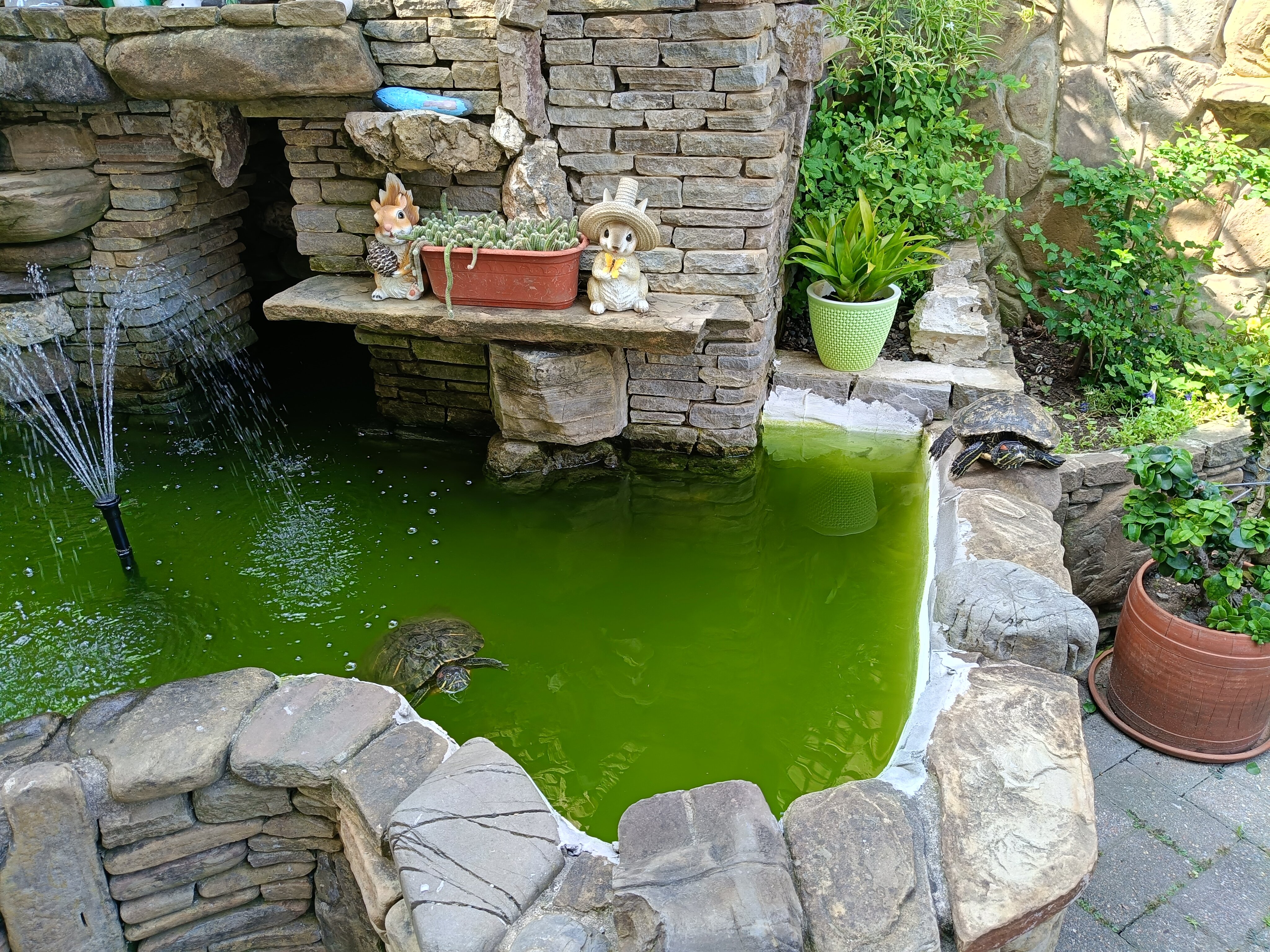 Фото Ключевой 9