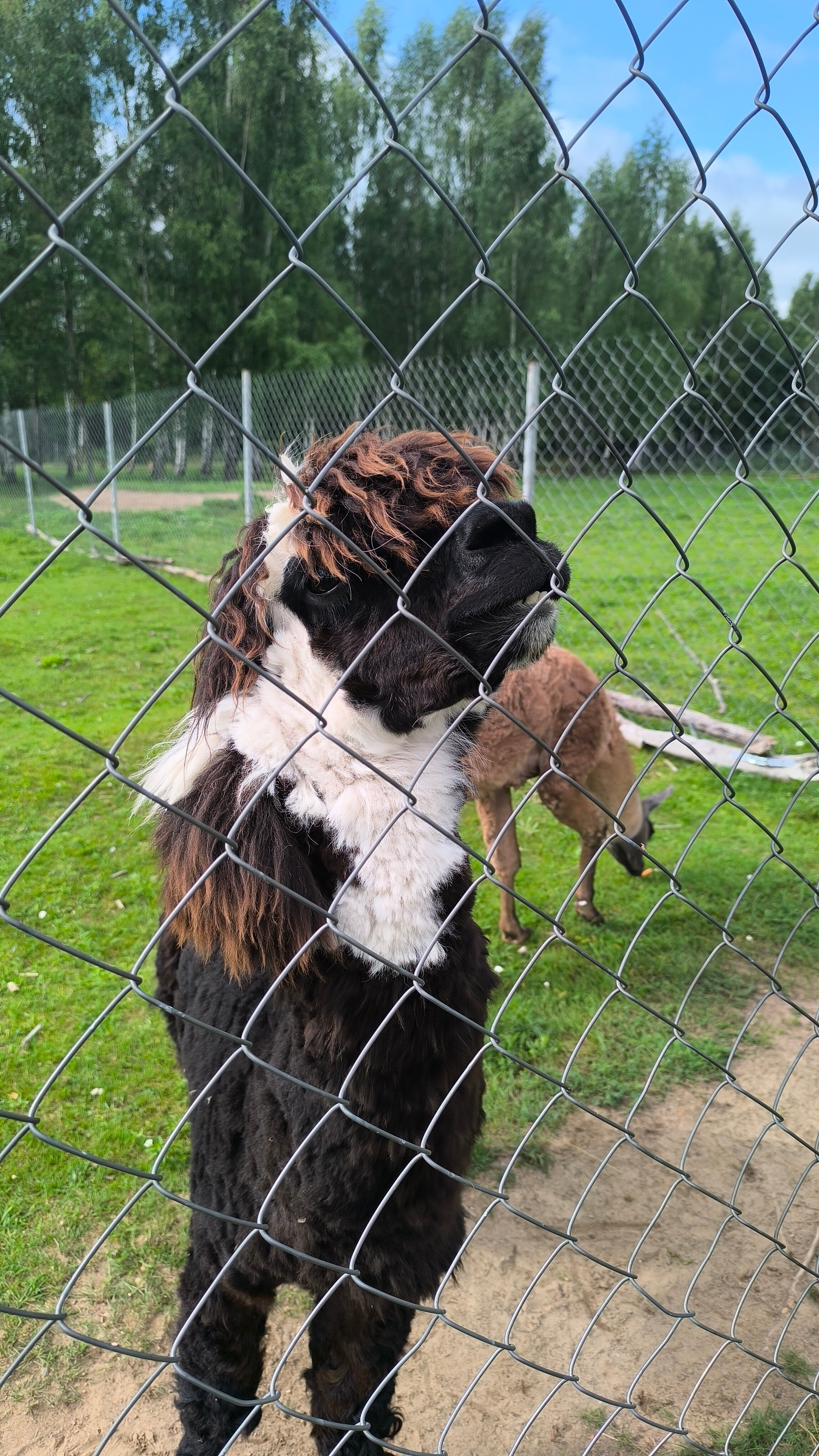 Фото Оленья ферма СудимирЪ