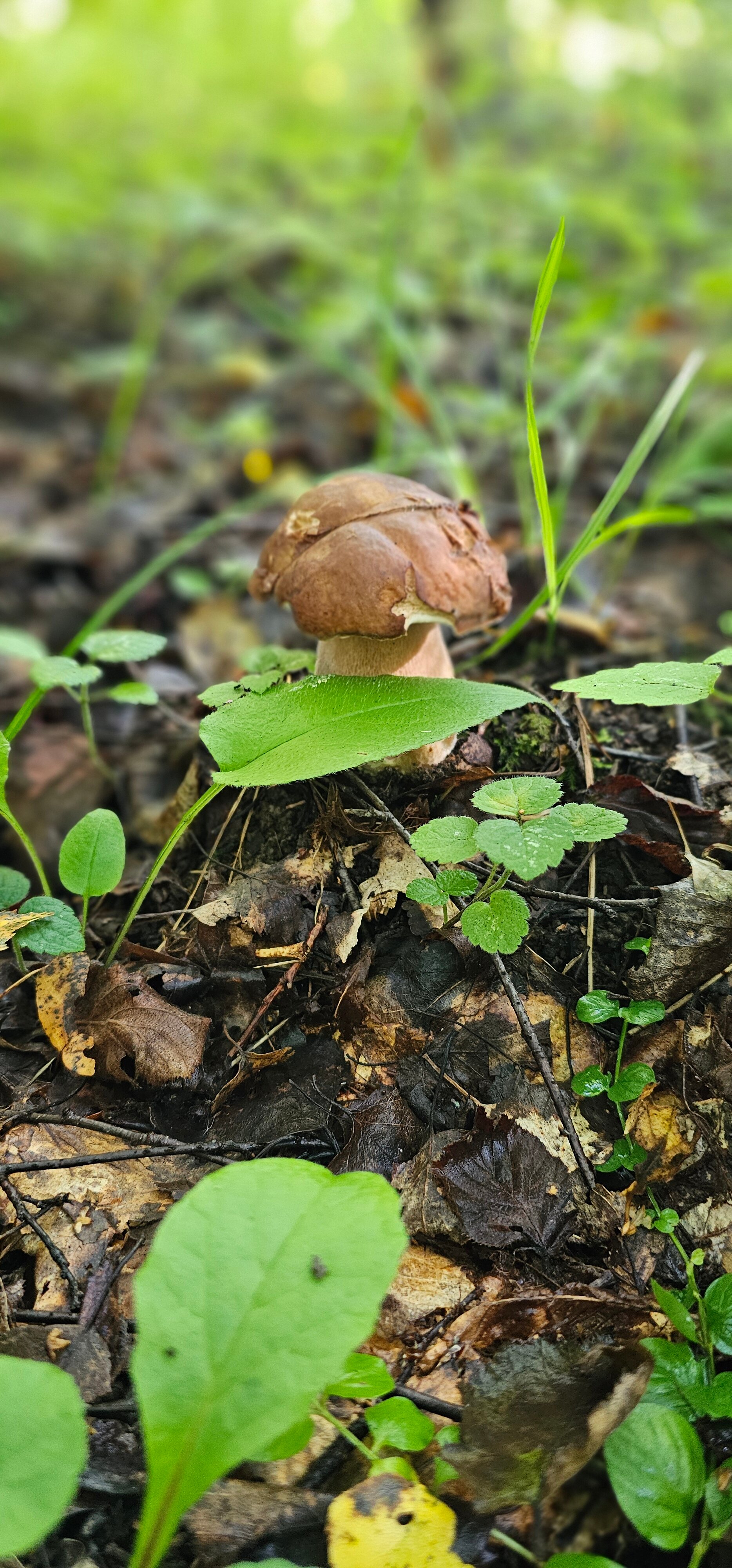 Фото Пчелоферма & Агропарк Путь пчелы