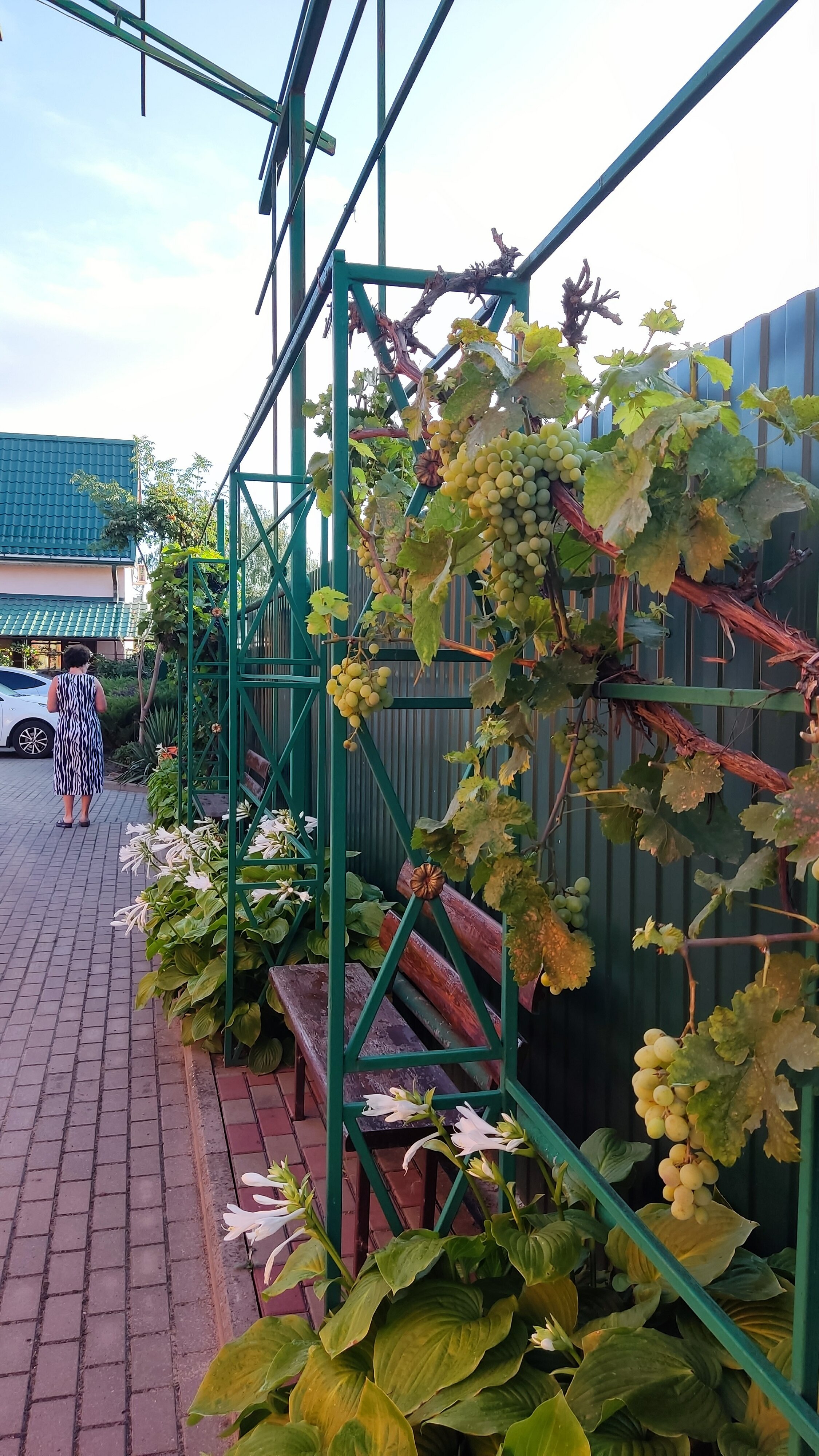 Фото Тольянка