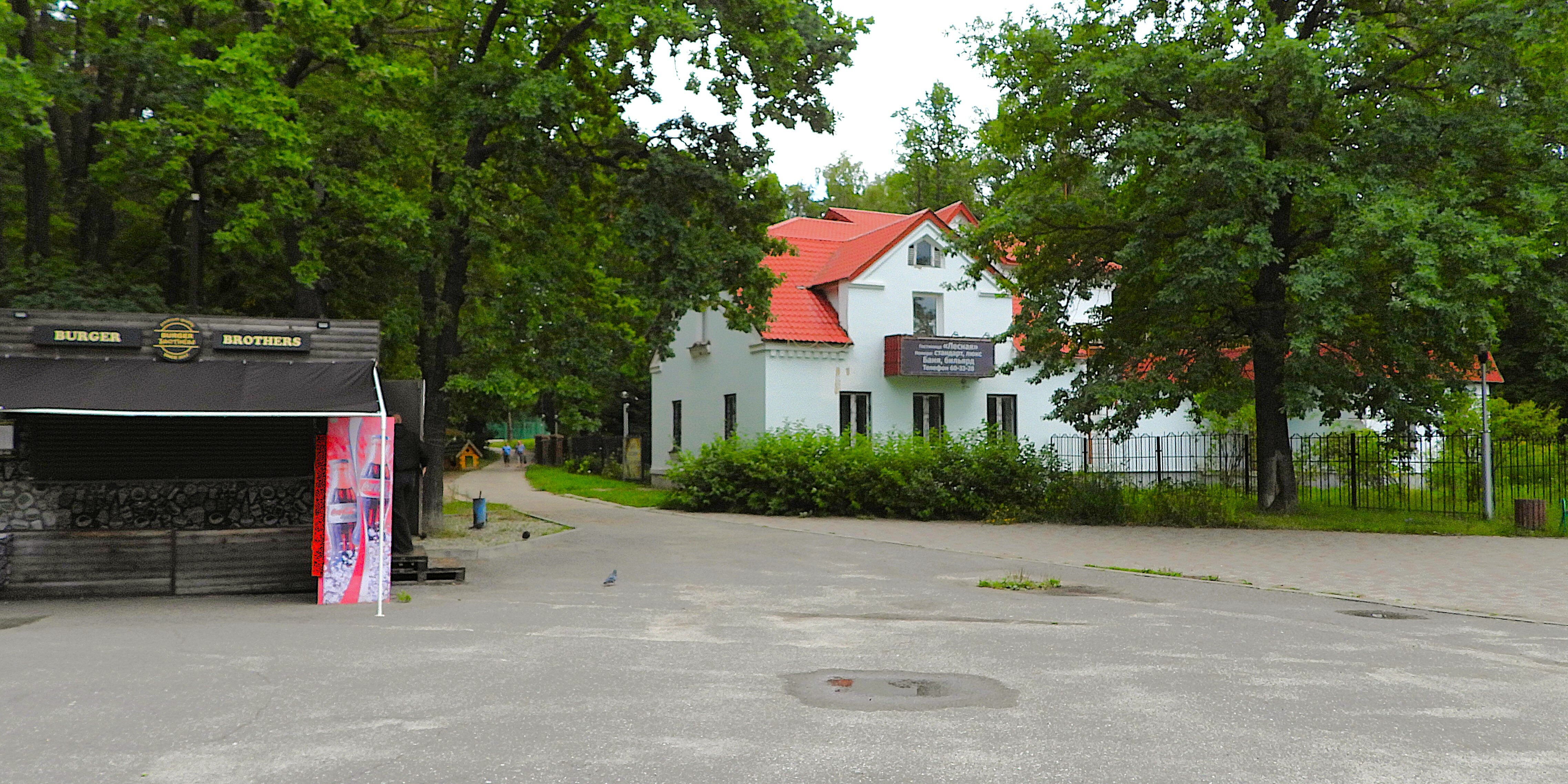 Фото Лесная