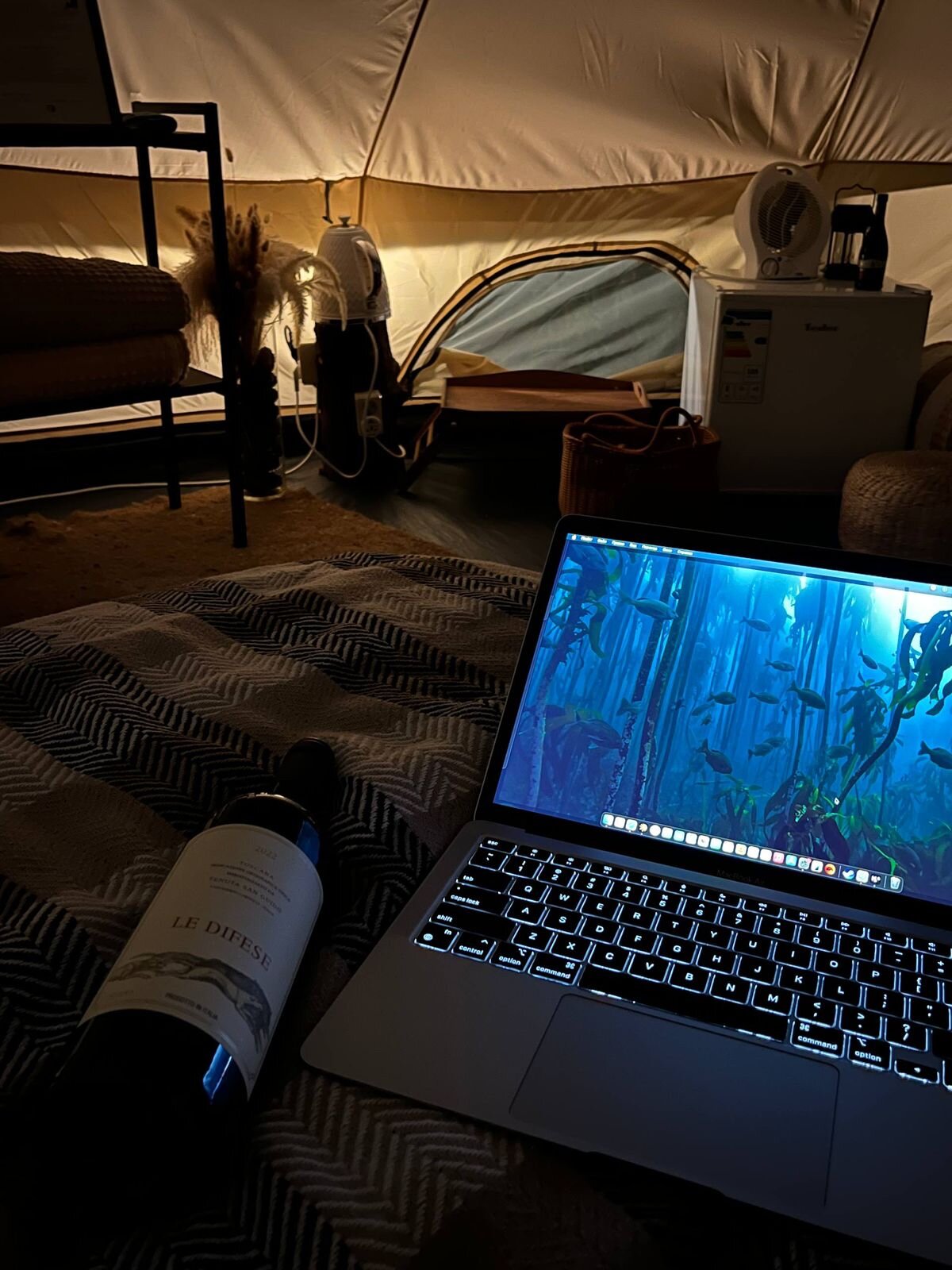 Фото Sabrina’s green house