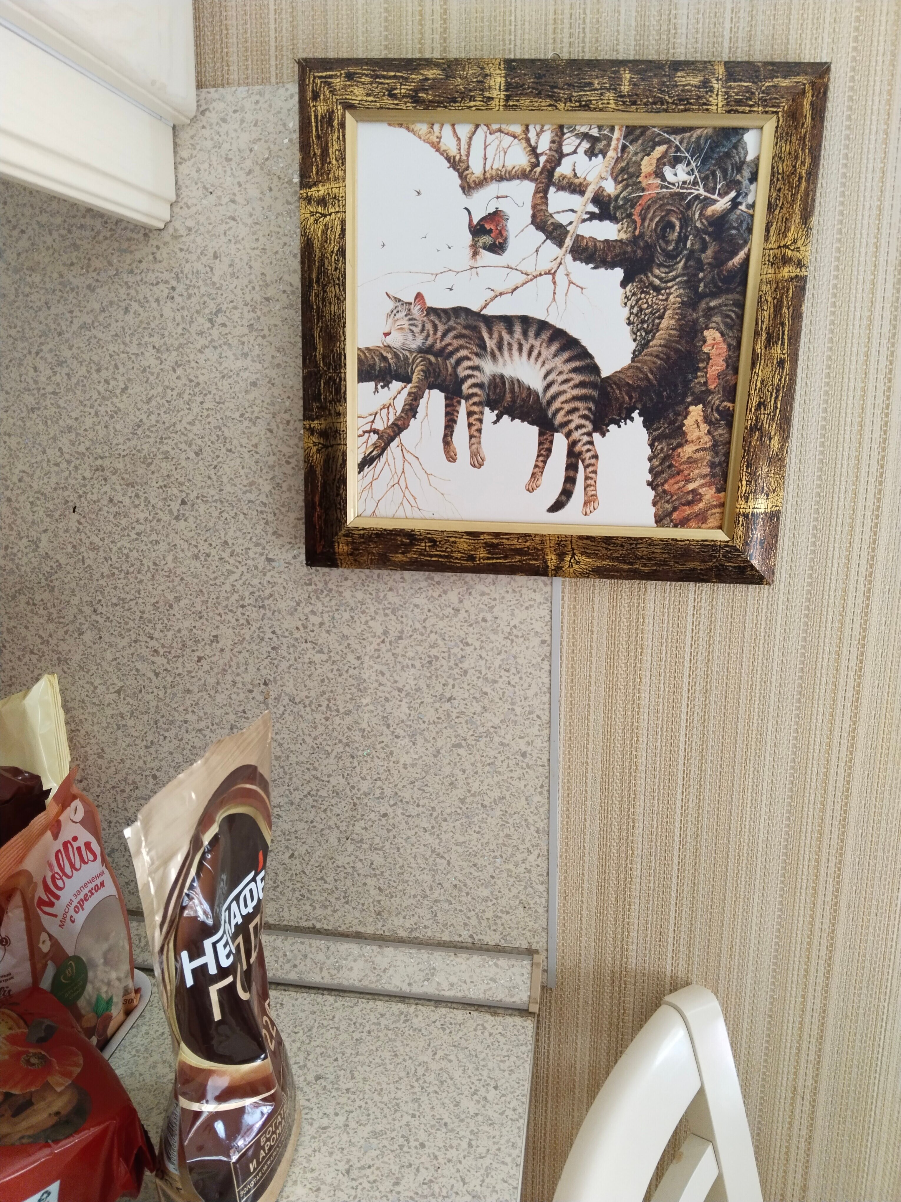 Фото Аполлон