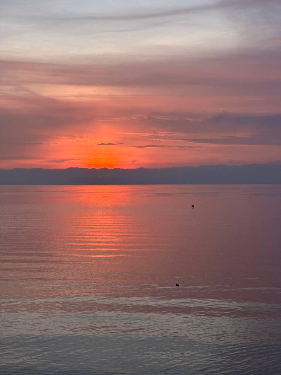 Фото Адмирал