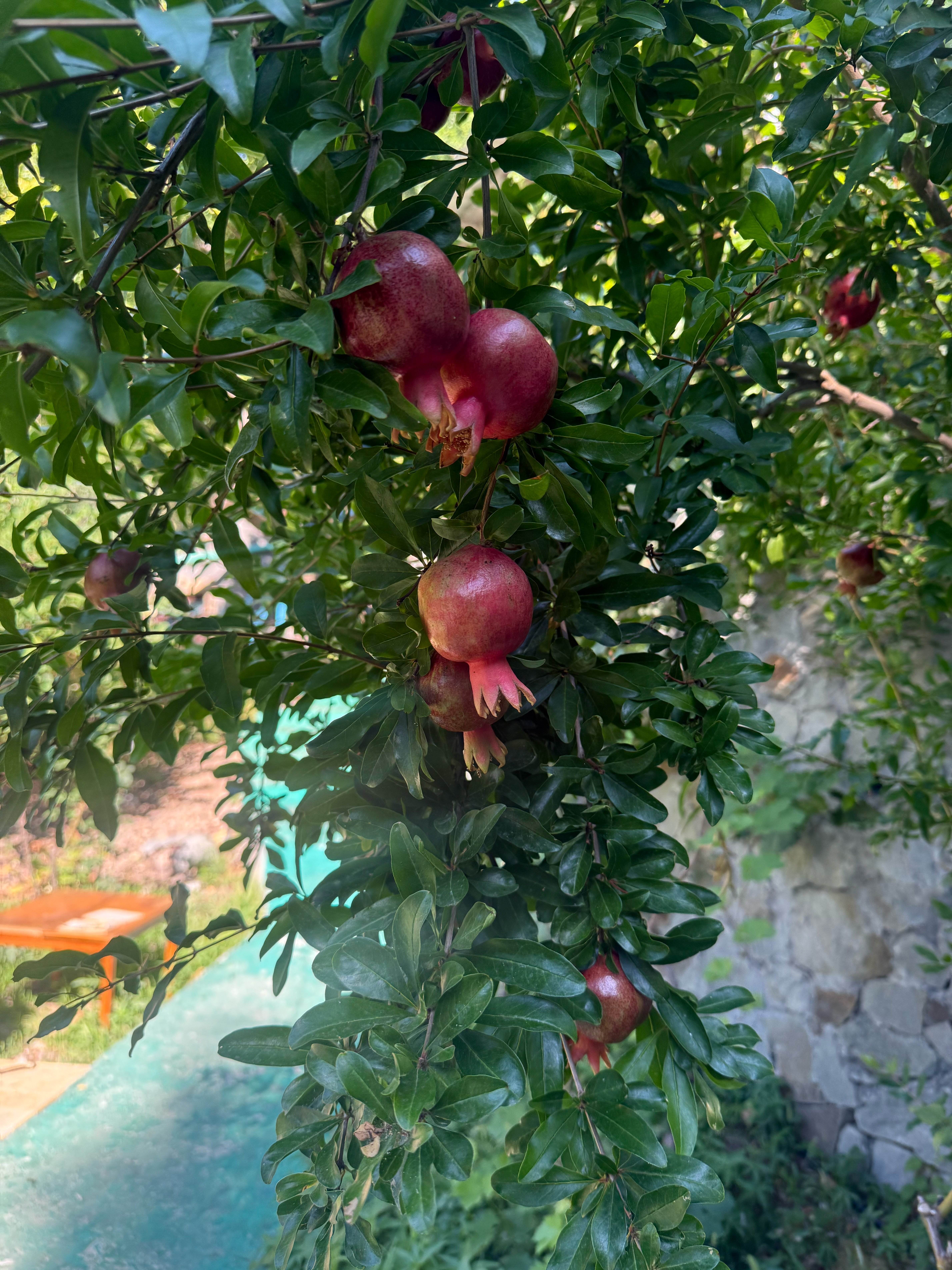 Фото Сувенир