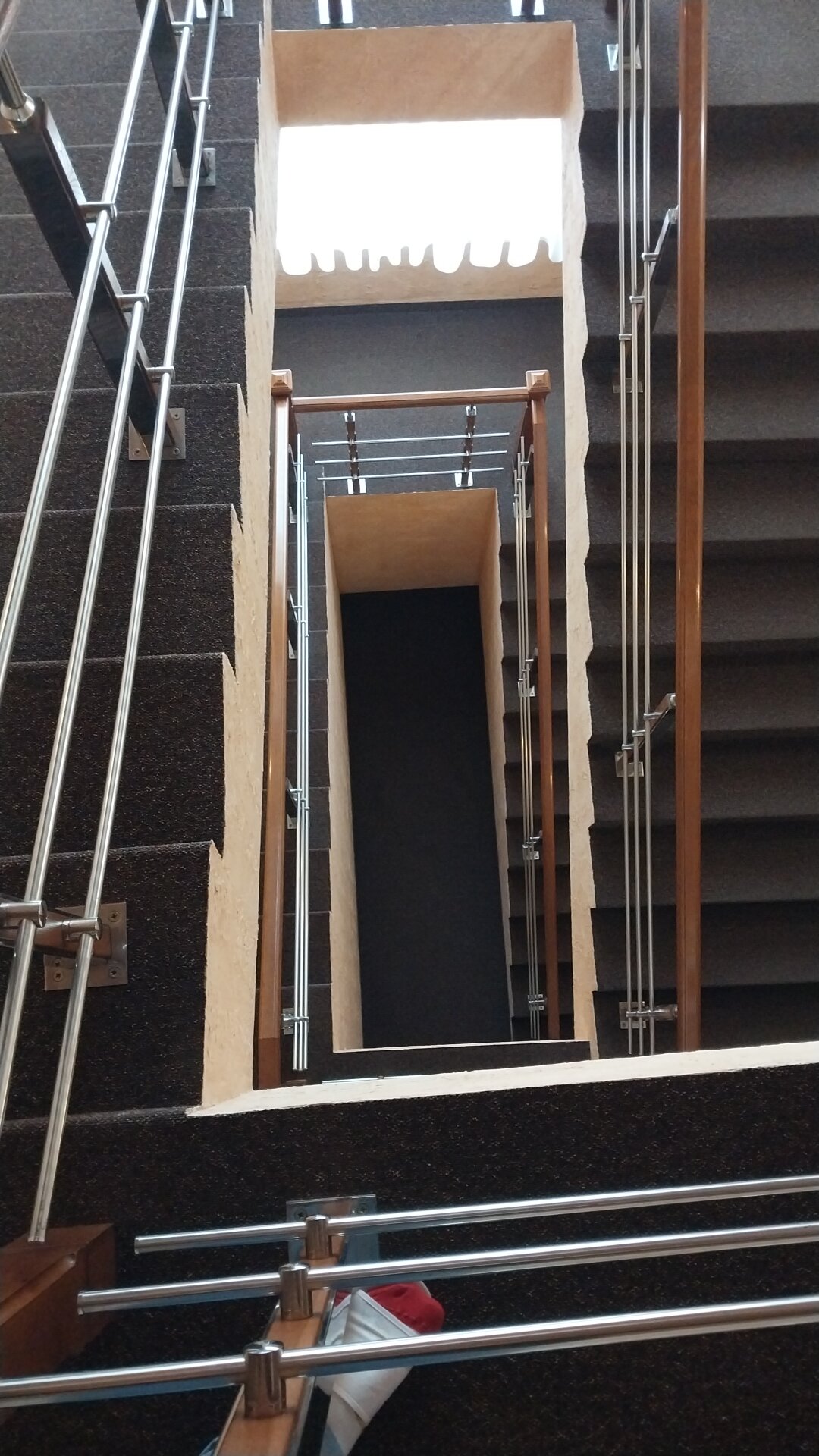 Фото Метелица