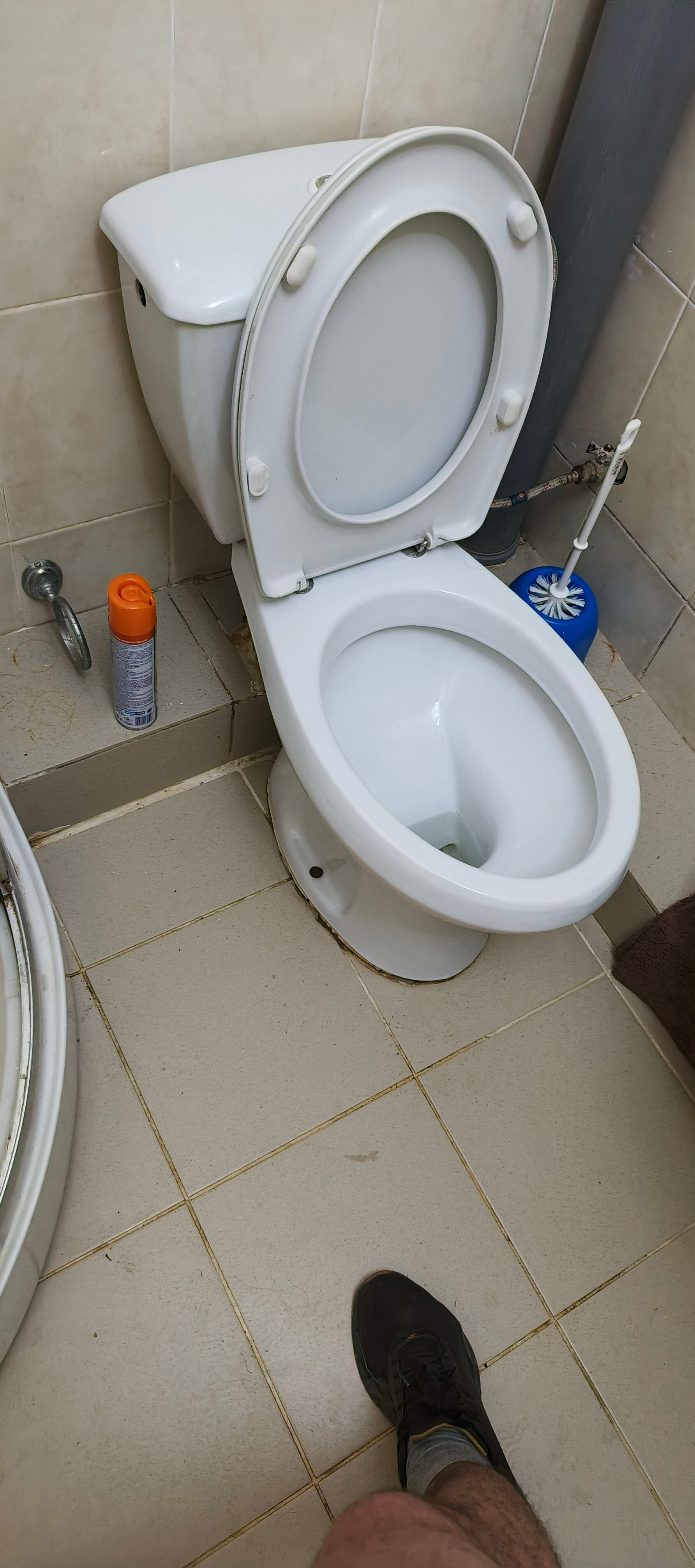 Фото Пушкин Отель