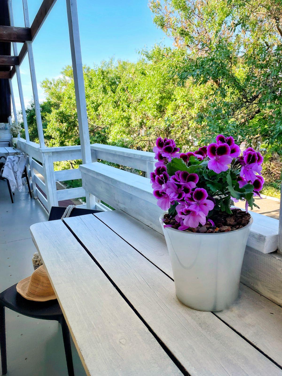 Фото Гнездо-Орловка