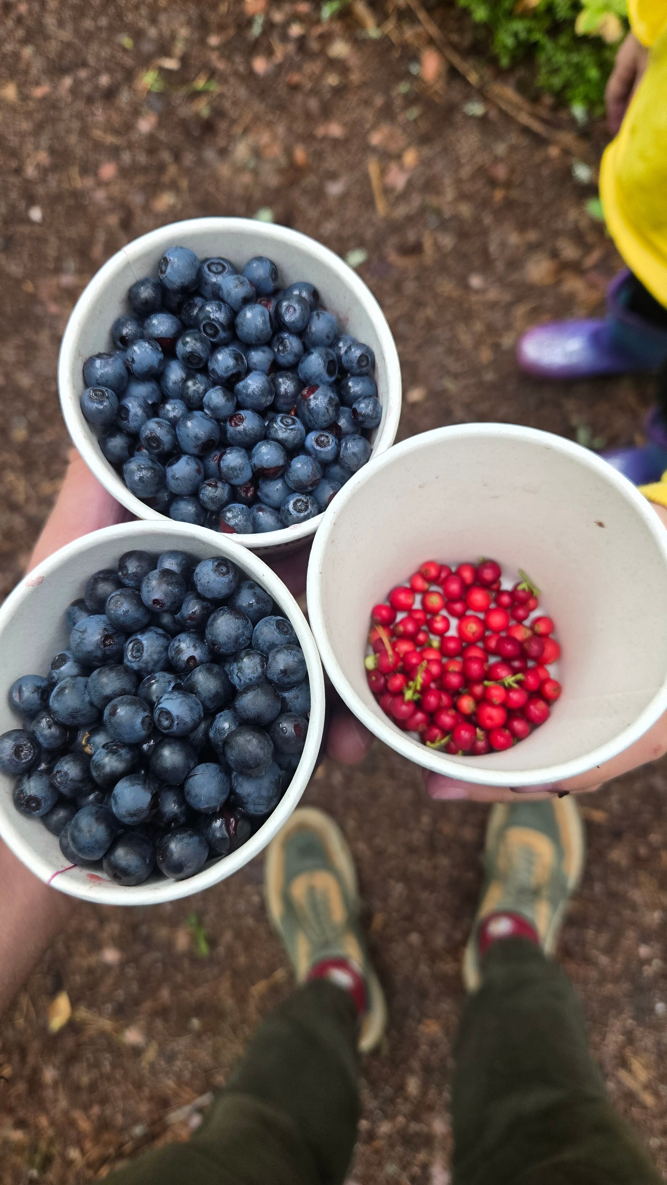 Фото Искатель