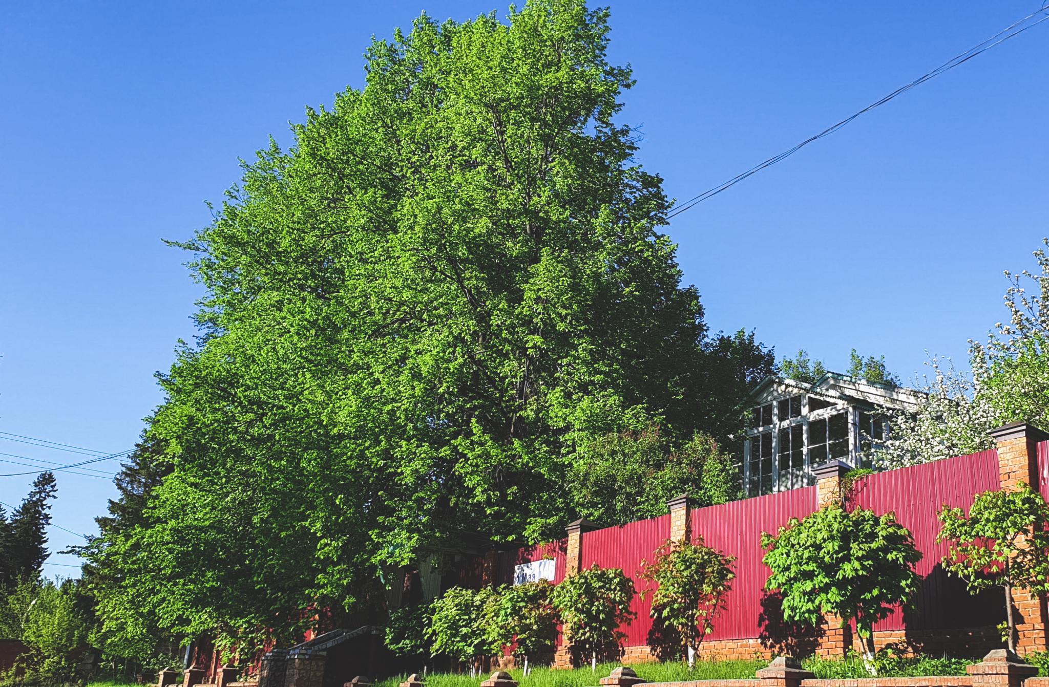 Фото Отрадный