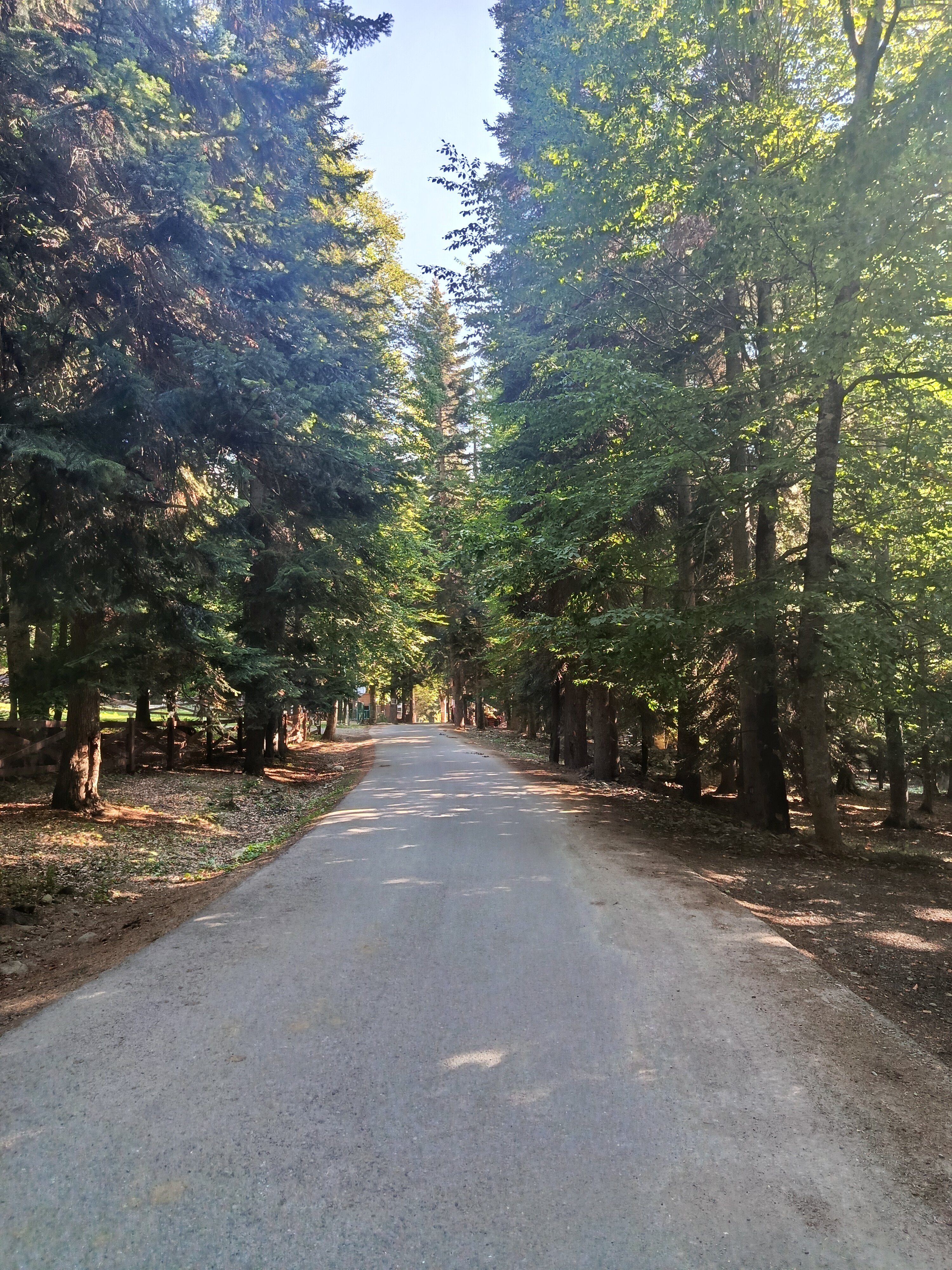 Фото Алибаба