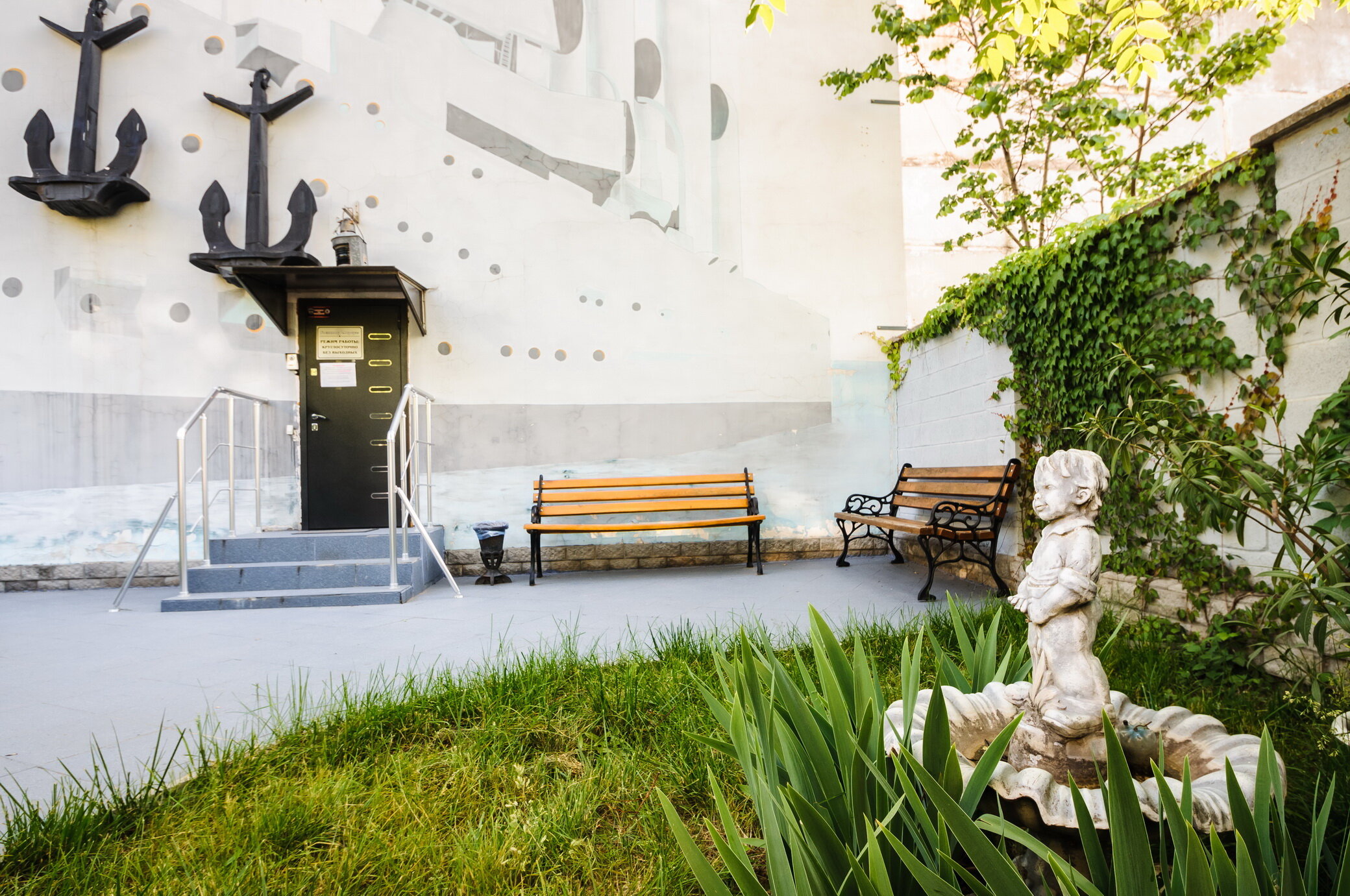 Фото Аврора