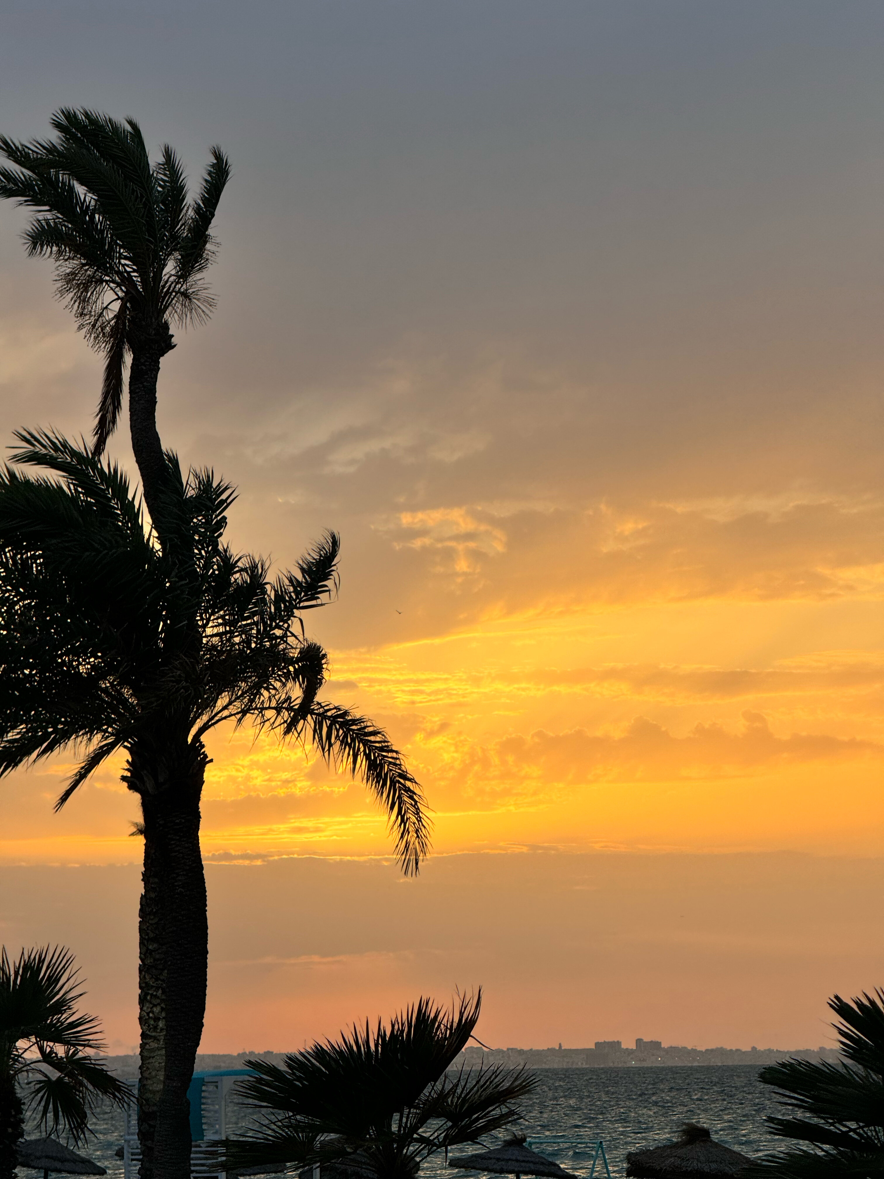 Фото Iberostar Selection Kuriat Palace