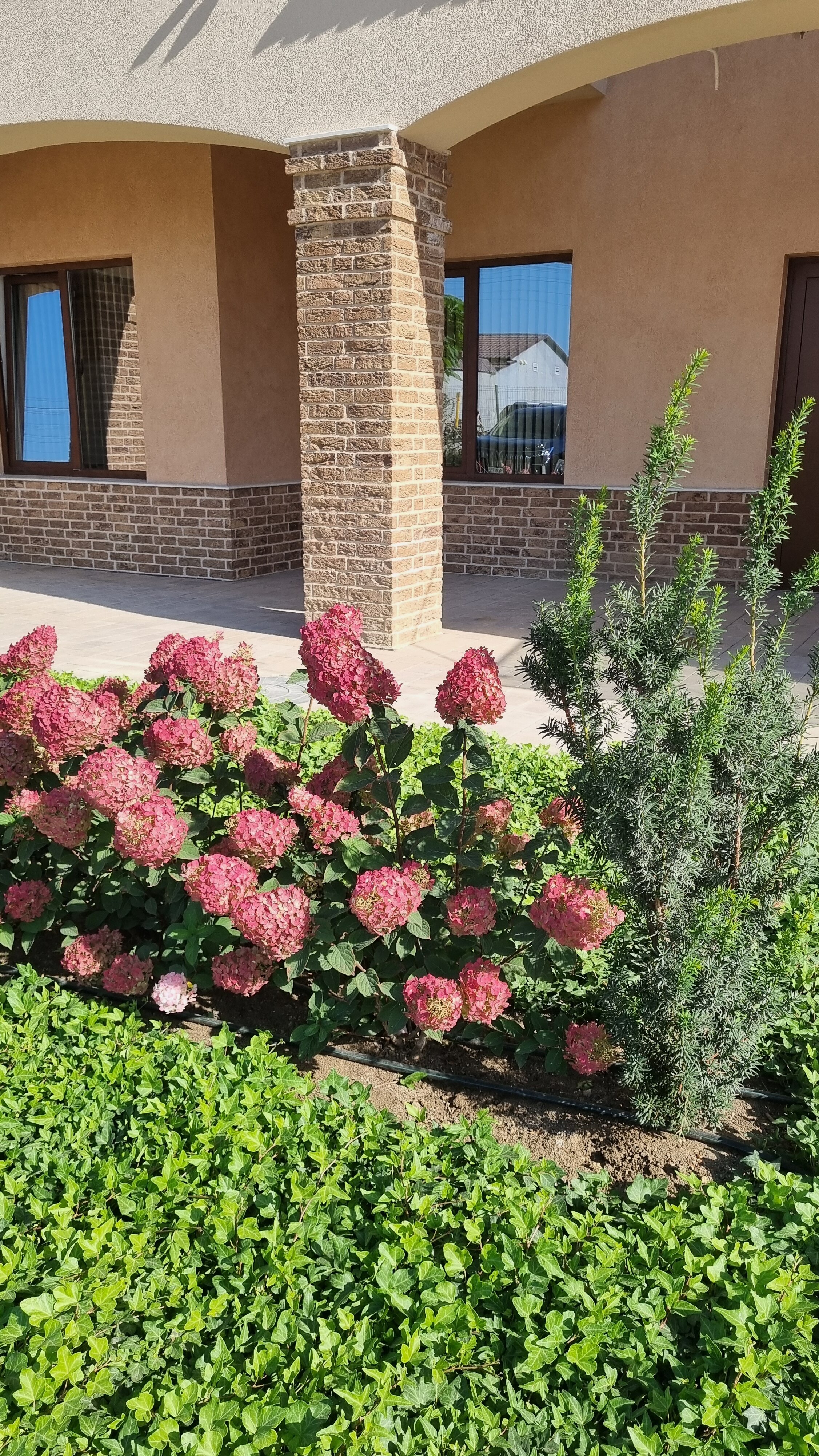 Фото Alba del Mare