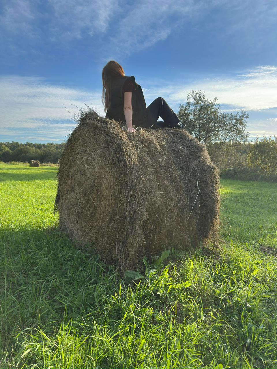 Фото Суеты. нет