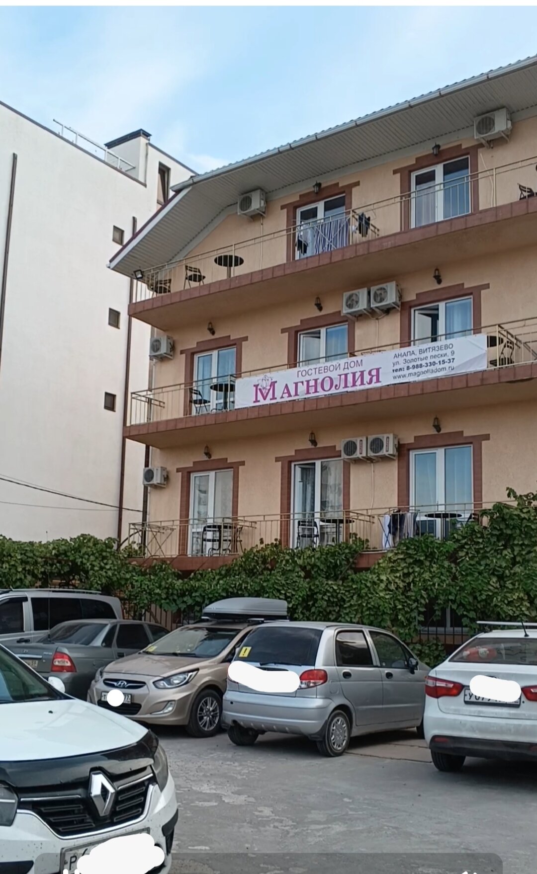 Фото Магнолия