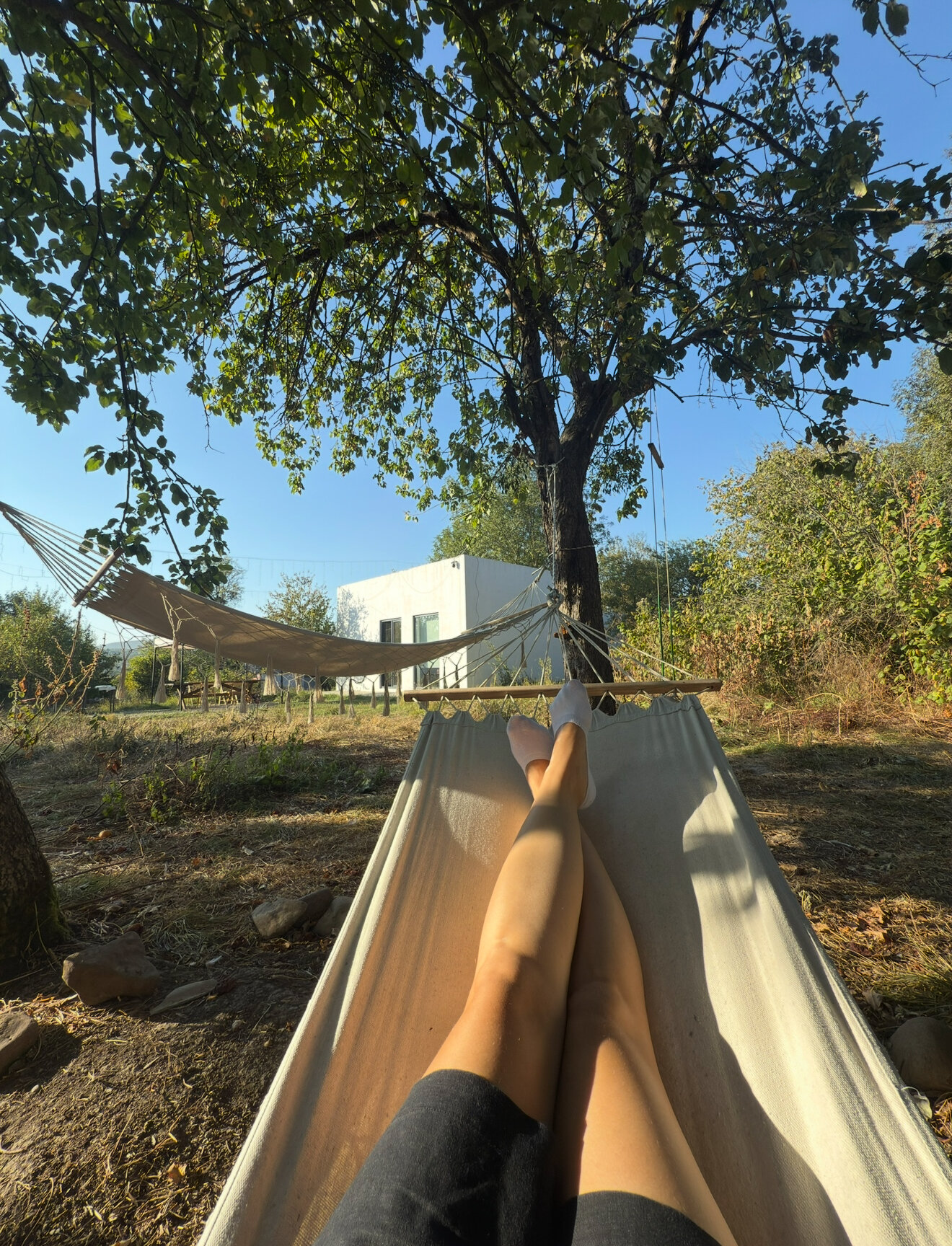 Фото Тихий Лес