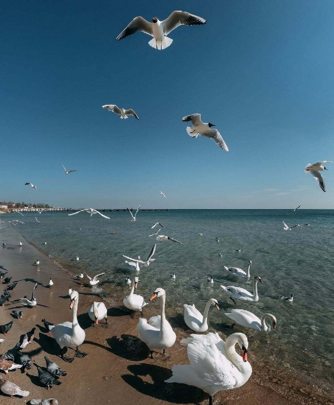 Фото Керчь апарт