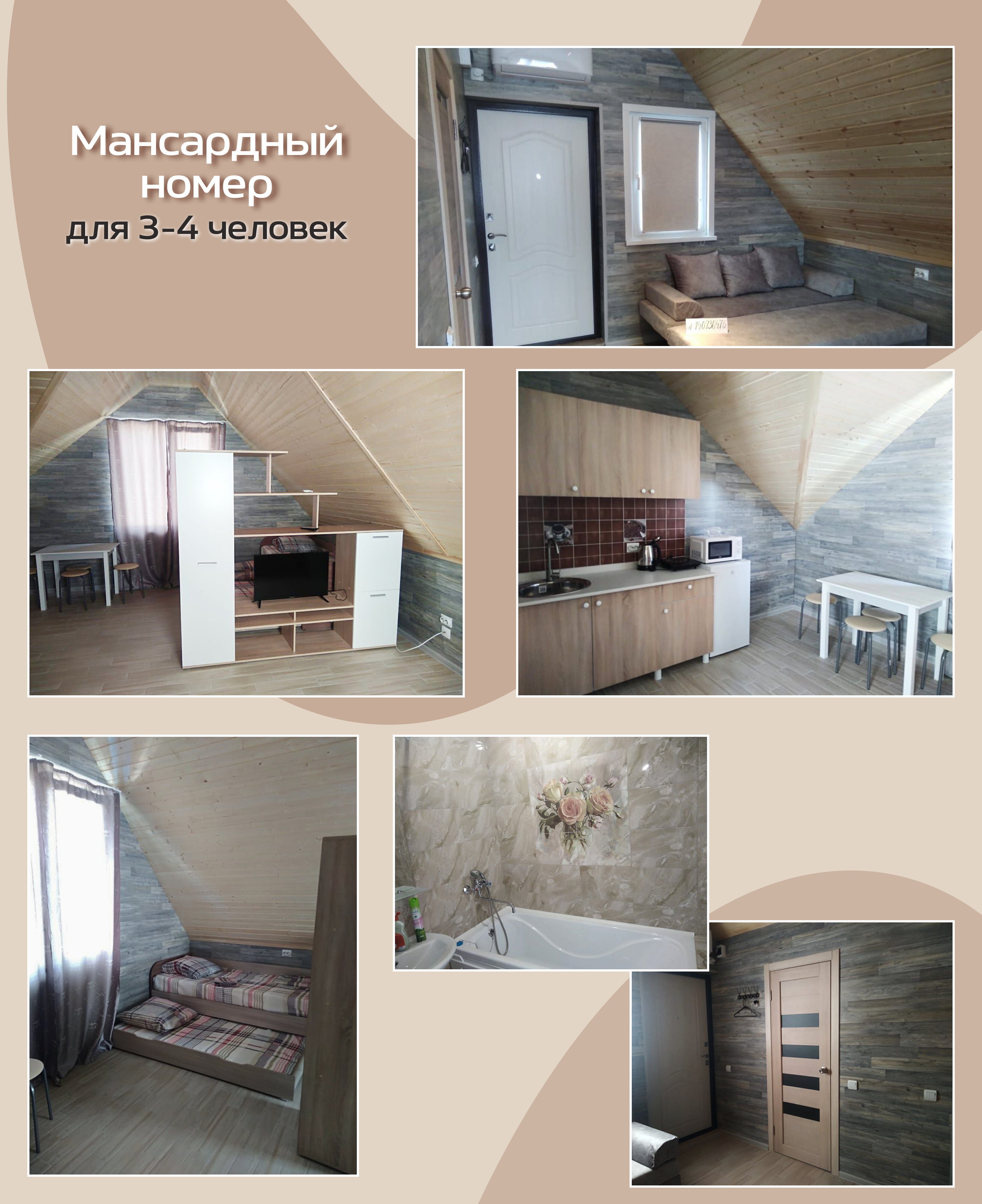 Фото Астера