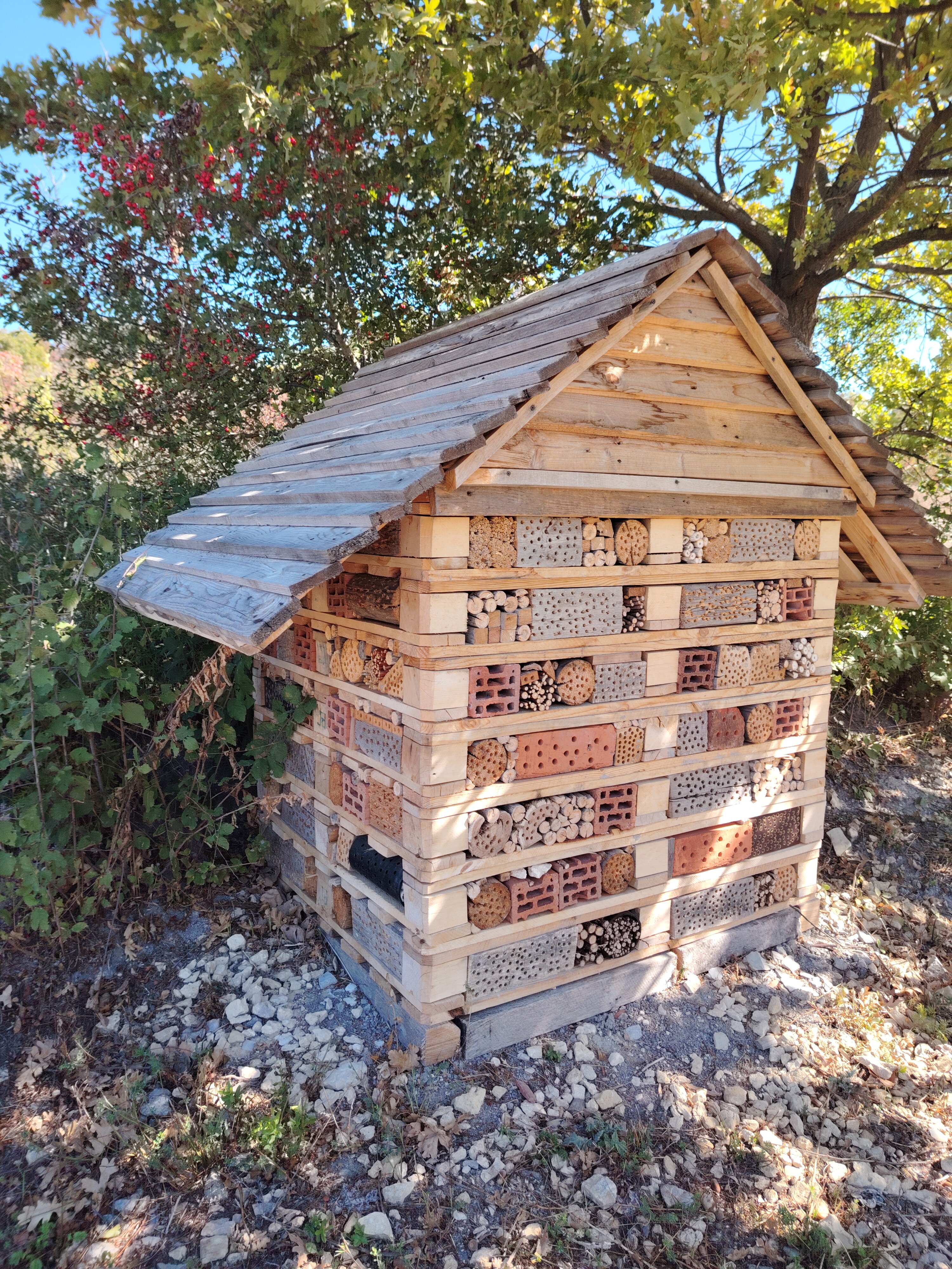 Фото Бюрнье