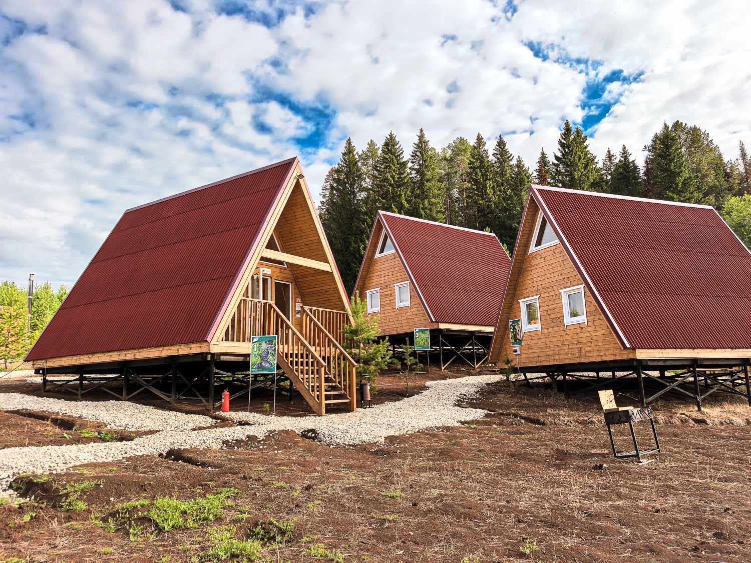 Фото Елки Иголки