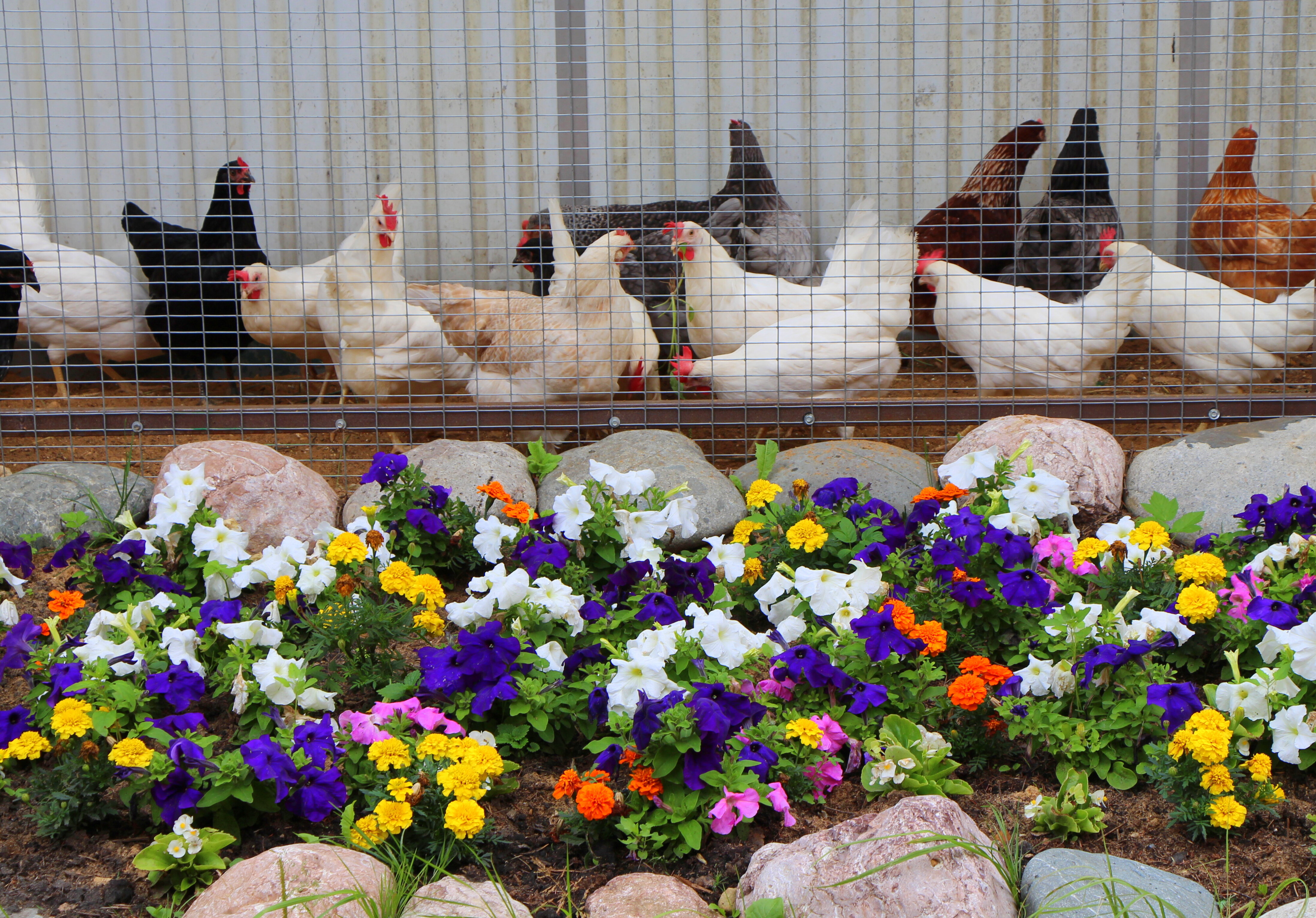 Фото Диадема Шереметьево
