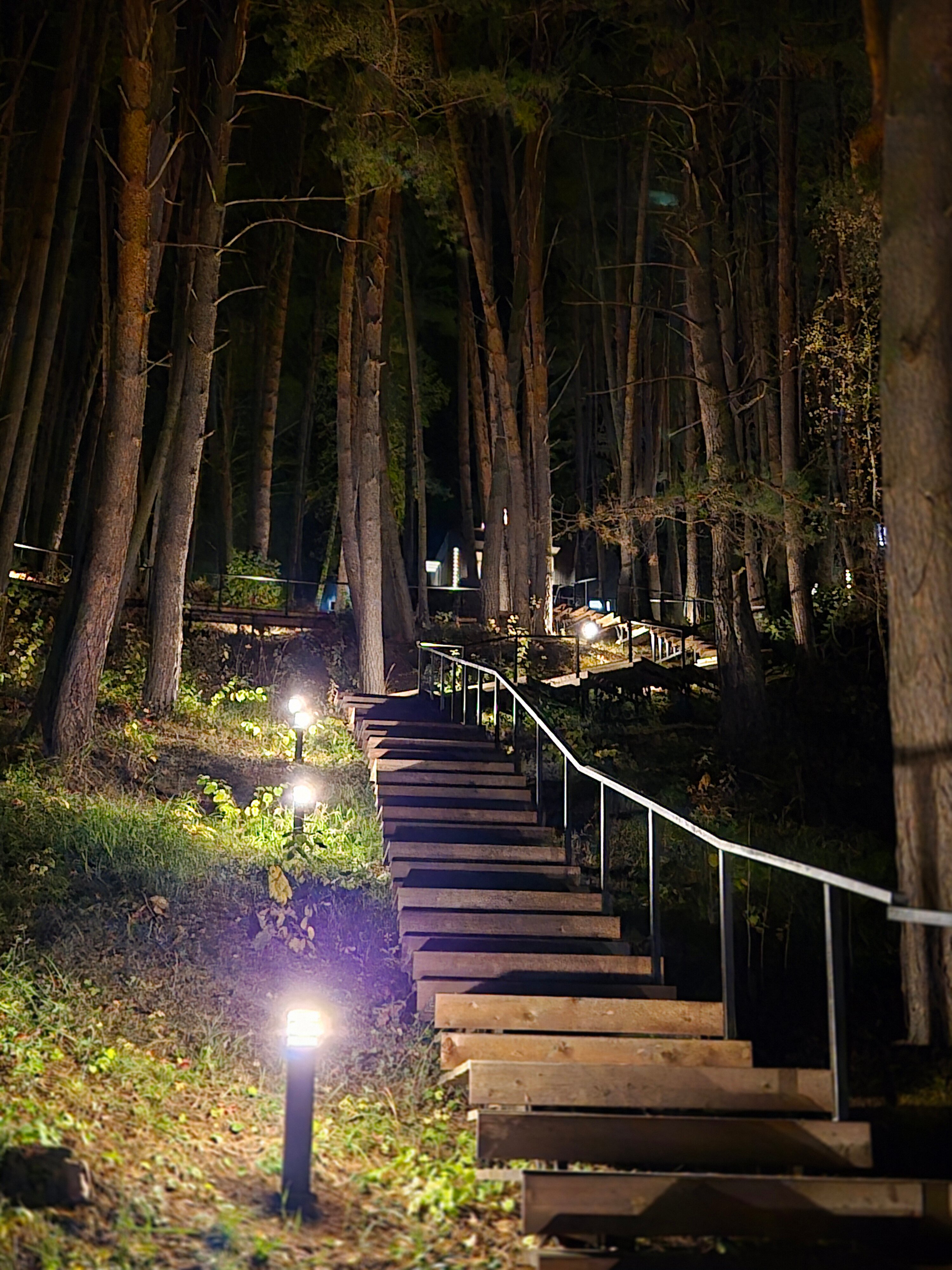 Фото Wish Home Лесной Берег