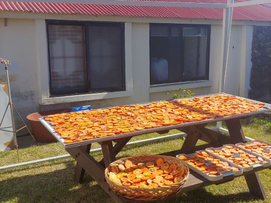 Фото 167525258995